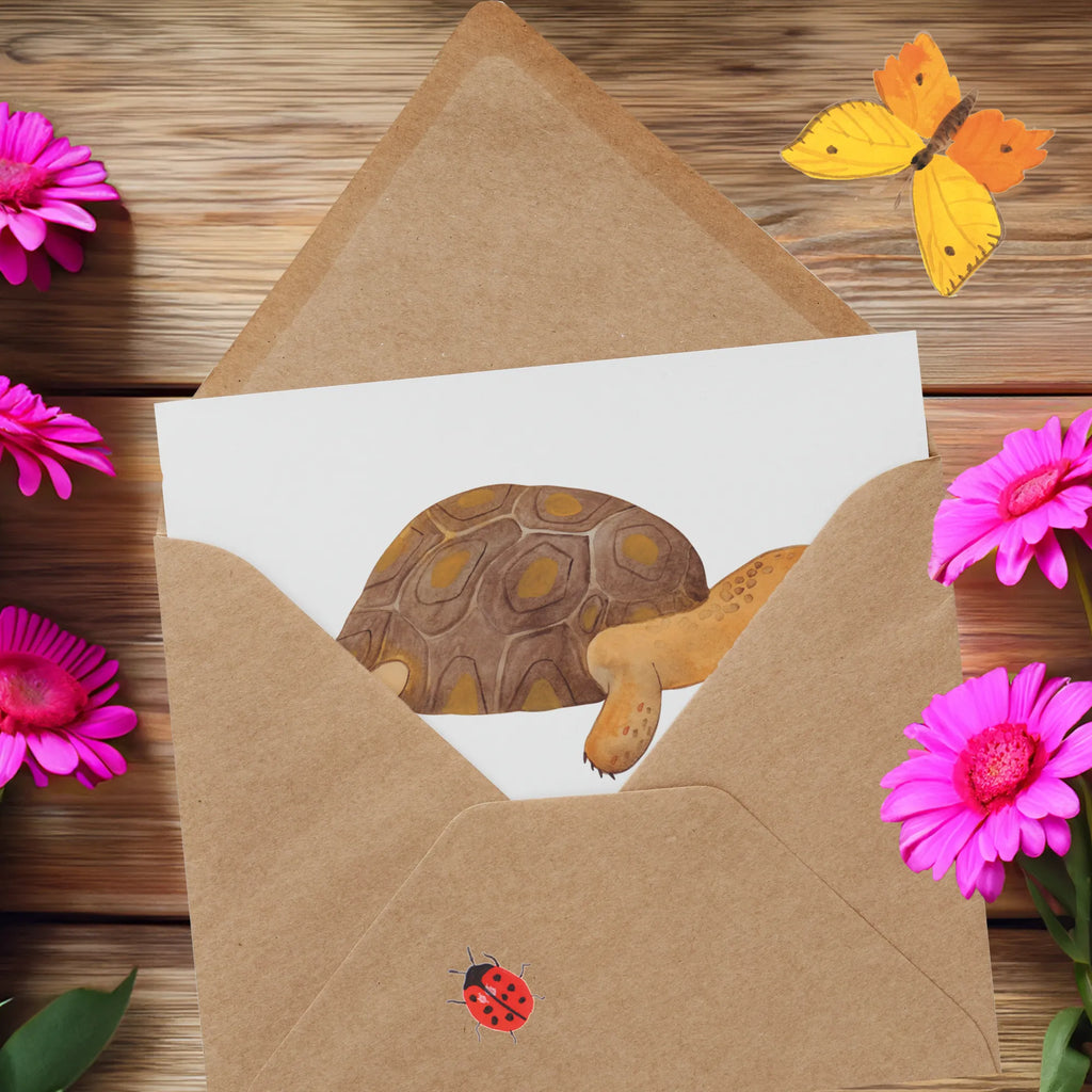 Personalized Deluxe Card tortoise March Personalisierte Einladungskarte, Grußkarten personalisiert, Personalisierte Grußkarte, Personalisierte Hochzeitskarte, Grußkarte selbst gestalten, Grußkarte mit persönlichen Nachrichten, Personalisierte Glückwunschkarte, Personalisierte Geburtstagskarte, Personalisiertere Klappkarte, Personalisierte Karte, Grußkarte als Geldgeschenk, Grußkarte mit Namen, Grußkarte selber drucken, Meerestiere, Meer, Urlaub, Inspiration, Abenteuer, Schildkröten, get lost, Schildkröte, Motivation, Neustart, Lieblingsmensch, Reiselust
