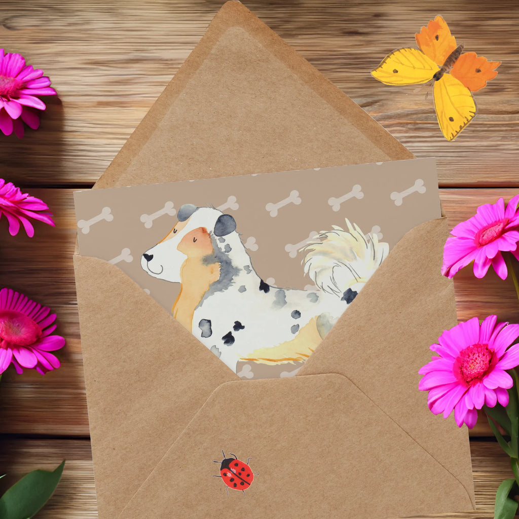 Personalisierte Deluxe Karte Hund Australien Shepherd Grußkarte selbst gestalten, Personalisiertere Klappkarte, Personalisierte Einladungskarte, Personalisierte Grußkarte, Grußkarte mit Namen, Personalisierte Hochzeitskarte, Grußkarte als Geldgeschenk, Grußkarte selber drucken, Personalisierte Geburtstagskarte, Personalisierte Karte, Personalisierte Glückwunschkarte, Grußkarten personalisiert, Grußkarte mit persönlichen Nachrichten, Hund, Hundemotiv, Haustier, Hunderasse, Tierliebhaber, Hundebesitzer, Sprüche, Australien Shepherd, Shepherd, Familienhund, Hundeliebe, Spruch