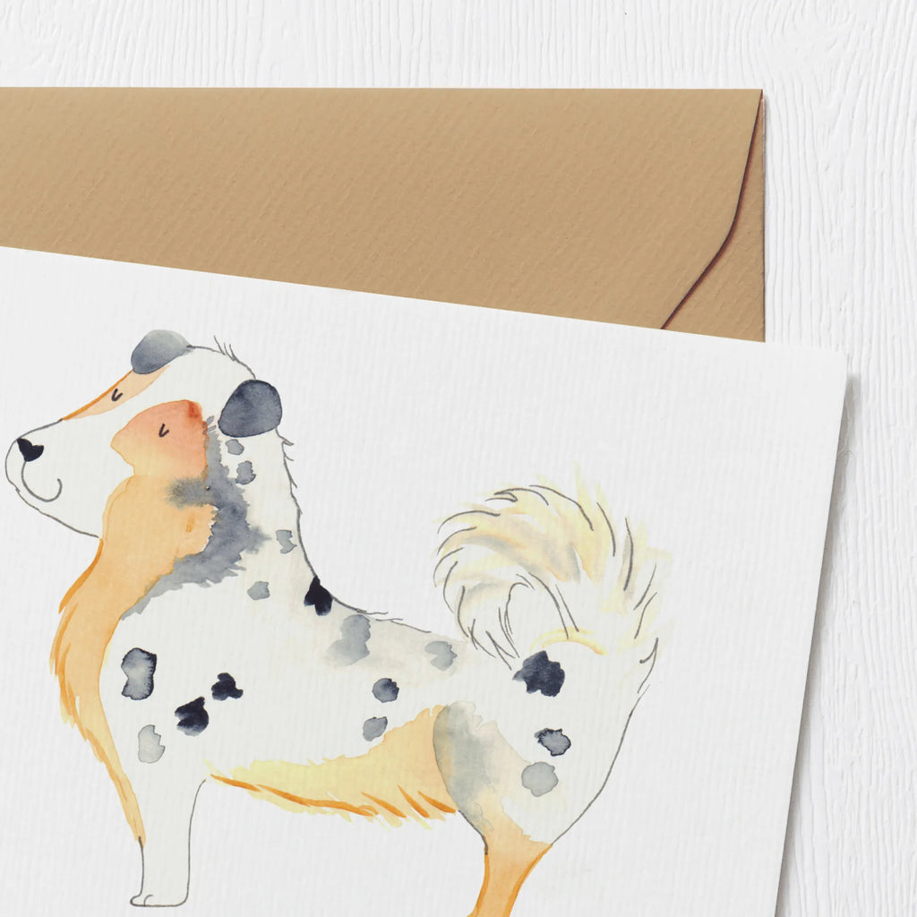 Personalisierte Deluxe Karte Hund Australien Shepherd Grußkarte selbst gestalten, Personalisiertere Klappkarte, Personalisierte Einladungskarte, Personalisierte Grußkarte, Grußkarte mit Namen, Personalisierte Hochzeitskarte, Grußkarte als Geldgeschenk, Grußkarte selber drucken, Personalisierte Geburtstagskarte, Personalisierte Karte, Personalisierte Glückwunschkarte, Grußkarten personalisiert, Grußkarte mit persönlichen Nachrichten, Hund, Hundemotiv, Haustier, Hunderasse, Tierliebhaber, Hundebesitzer, Sprüche, Australien Shepherd, Shepherd, Familienhund, Hundeliebe, Spruch