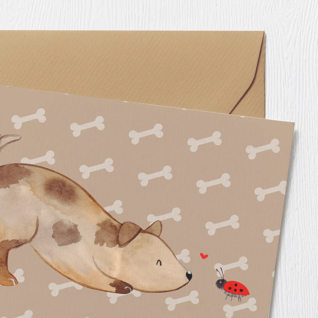 Personalisierte Deluxe Karte Hund Marienkäfer Grußkarten personalisiert, Personalisierte Glückwunschkarte, Personalisierte Grußkarte, Personalisierte Hochzeitskarte, Personalisierte Karte, Grußkarte mit Namen, Grußkarte mit persönlichen Nachrichten, Personalisiertere Klappkarte, Grußkarte selber drucken, Personalisierte Einladungskarte, Personalisierte Geburtstagskarte, Grußkarte als Geldgeschenk, Grußkarte selbst gestalten, Hund, Hundemotiv, Haustier, Hunderasse, Tierliebhaber, Hundebesitzer, Sprüche, Hunde, Mischlinghund, Hundespruch, Mischling, Marienkäfer