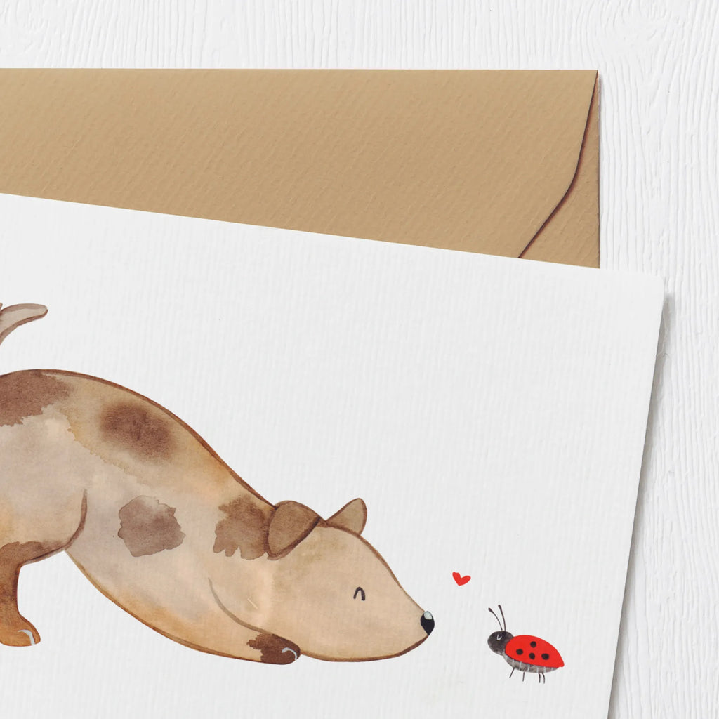 Personalisierte Deluxe Karte Hund Marienkäfer Grußkarten personalisiert, Personalisierte Glückwunschkarte, Personalisierte Grußkarte, Personalisierte Hochzeitskarte, Personalisierte Karte, Grußkarte mit Namen, Grußkarte mit persönlichen Nachrichten, Personalisiertere Klappkarte, Grußkarte selber drucken, Personalisierte Einladungskarte, Personalisierte Geburtstagskarte, Grußkarte als Geldgeschenk, Grußkarte selbst gestalten, Hund, Hundemotiv, Haustier, Hunderasse, Tierliebhaber, Hundebesitzer, Sprüche, Hunde, Mischlinghund, Hundespruch, Mischling, Marienkäfer
