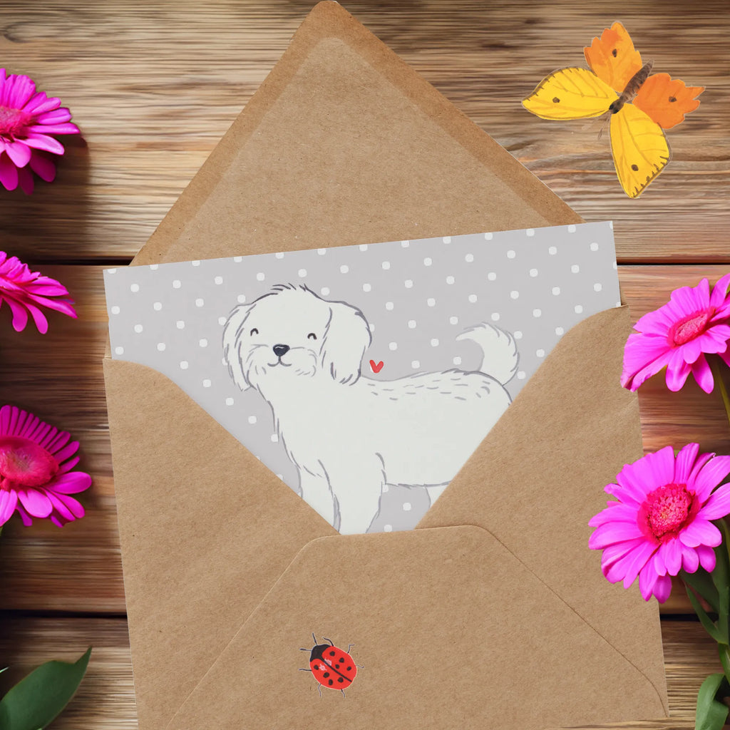 Deluxe Card Maltese Lifesaver Hochwertige Grußkarte, Karte, Hochzeitskarte, Geburtstagskarte, Klappkarte, Glückwunschkarte, Einladungskarte, Hochwertige Klappkarte, Grußkarte, Hund, Hunderasse, Rassehund, Hundebesitzer, Geschenk, Tierfreund, Schenken, Welpe, Malteser