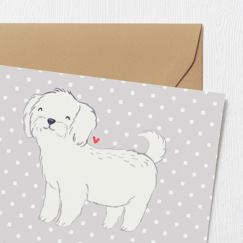 Deluxe Card Maltese Lifesaver Hochwertige Grußkarte, Karte, Hochzeitskarte, Geburtstagskarte, Klappkarte, Glückwunschkarte, Einladungskarte, Hochwertige Klappkarte, Grußkarte, Hund, Hunderasse, Rassehund, Hundebesitzer, Geschenk, Tierfreund, Schenken, Welpe, Malteser