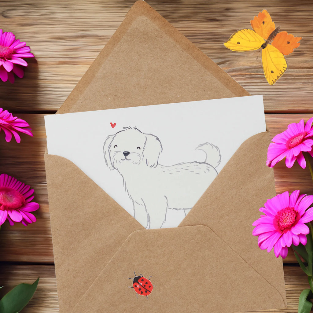 Deluxe Card Maltese Lifesaver Hochwertige Grußkarte, Karte, Hochzeitskarte, Geburtstagskarte, Klappkarte, Glückwunschkarte, Einladungskarte, Hochwertige Klappkarte, Grußkarte, Hund, Hunderasse, Rassehund, Hundebesitzer, Geschenk, Tierfreund, Schenken, Welpe, Malteser