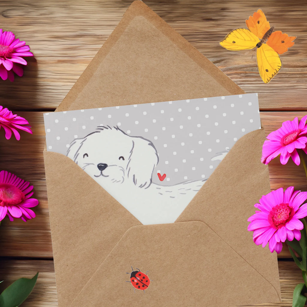 Deluxe Card Maltese Lifesaver Hochwertige Grußkarte, Karte, Hochzeitskarte, Geburtstagskarte, Klappkarte, Glückwunschkarte, Einladungskarte, Hochwertige Klappkarte, Grußkarte, Hund, Hunderasse, Rassehund, Hundebesitzer, Geschenk, Tierfreund, Schenken, Welpe, Malteser