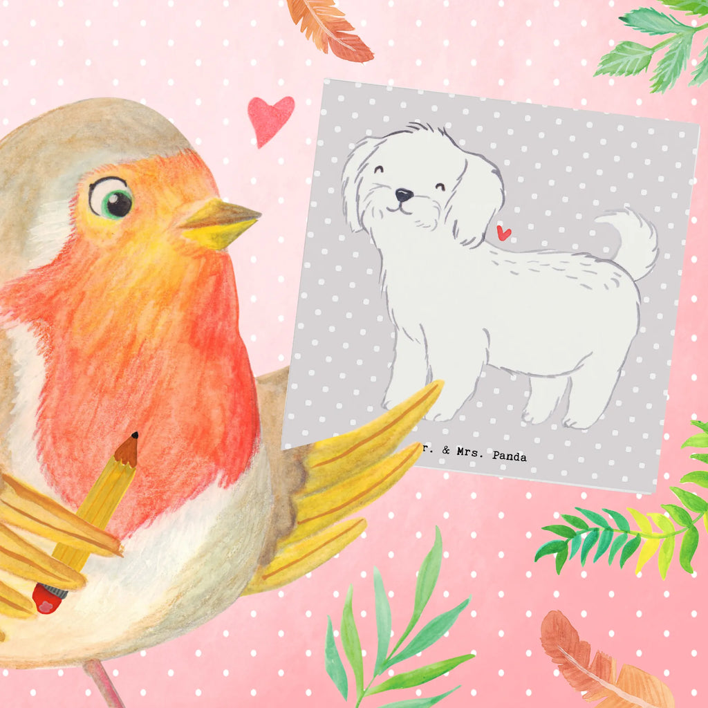 Deluxe Card Maltese Lifesaver Hochwertige Grußkarte, Karte, Hochzeitskarte, Geburtstagskarte, Klappkarte, Glückwunschkarte, Einladungskarte, Hochwertige Klappkarte, Grußkarte, Hund, Hunderasse, Rassehund, Hundebesitzer, Geschenk, Tierfreund, Schenken, Welpe, Malteser