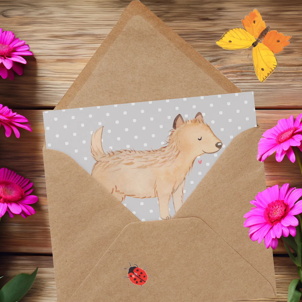 Deluxe Card Cairn Terrier Moment Geburtstagskarte, Hochzeitskarte, Karte, Klappkarte, Hochwertige Grußkarte, Einladungskarte, Grußkarte, Hochwertige Klappkarte, Glückwunschkarte, Hund, Hunderasse, Rassehund, Hundebesitzer, Geschenk, Tierfreund, Schenken, Welpe, Cairn Terrier