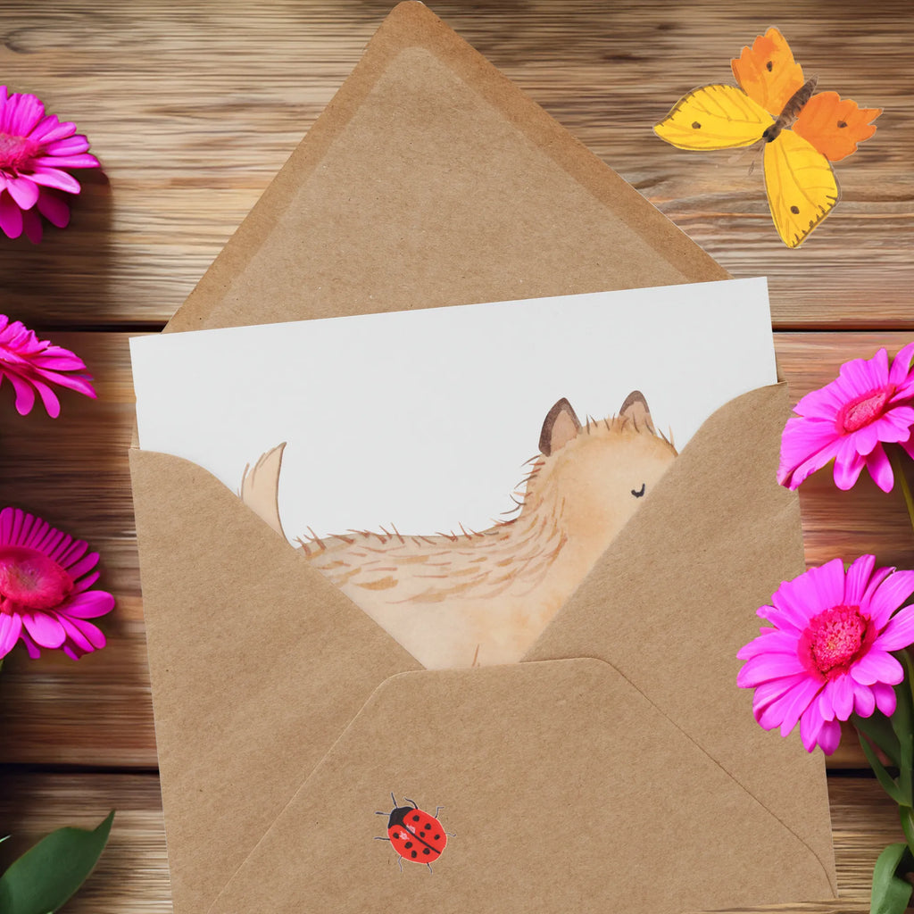 Deluxe Card Cairn Terrier Moment Geburtstagskarte, Hochzeitskarte, Karte, Klappkarte, Hochwertige Grußkarte, Einladungskarte, Grußkarte, Hochwertige Klappkarte, Glückwunschkarte, Hund, Hunderasse, Rassehund, Hundebesitzer, Geschenk, Tierfreund, Schenken, Welpe, Cairn Terrier