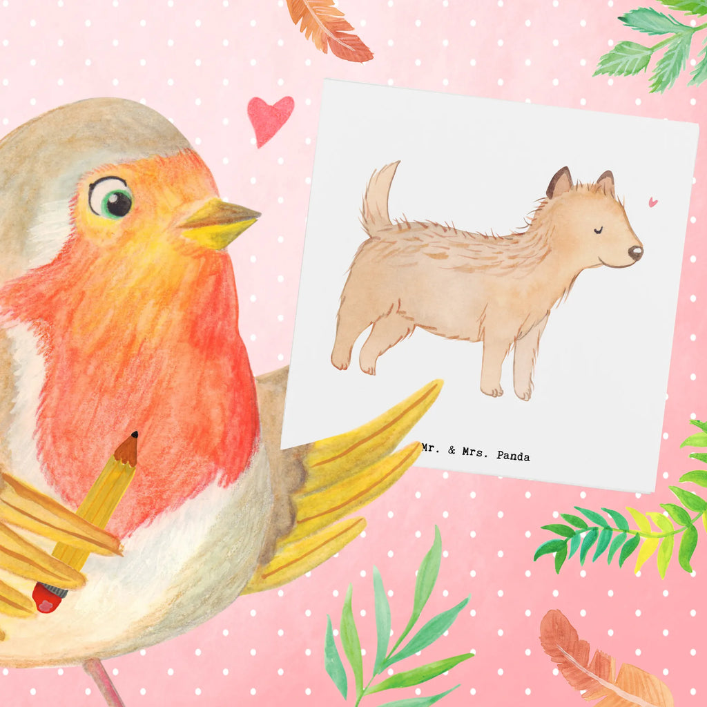 Deluxe Card Cairn Terrier Moment Geburtstagskarte, Hochzeitskarte, Karte, Klappkarte, Hochwertige Grußkarte, Einladungskarte, Grußkarte, Hochwertige Klappkarte, Glückwunschkarte, Hund, Hunderasse, Rassehund, Hundebesitzer, Geschenk, Tierfreund, Schenken, Welpe, Cairn Terrier