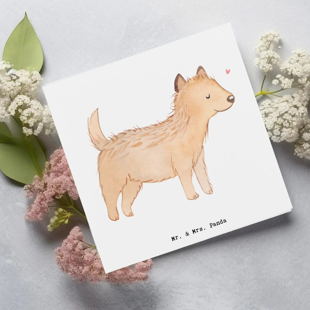 Deluxe Card Cairn Terrier Moment Geburtstagskarte, Hochzeitskarte, Karte, Klappkarte, Hochwertige Grußkarte, Einladungskarte, Grußkarte, Hochwertige Klappkarte, Glückwunschkarte, Hund, Hunderasse, Rassehund, Hundebesitzer, Geschenk, Tierfreund, Schenken, Welpe, Cairn Terrier