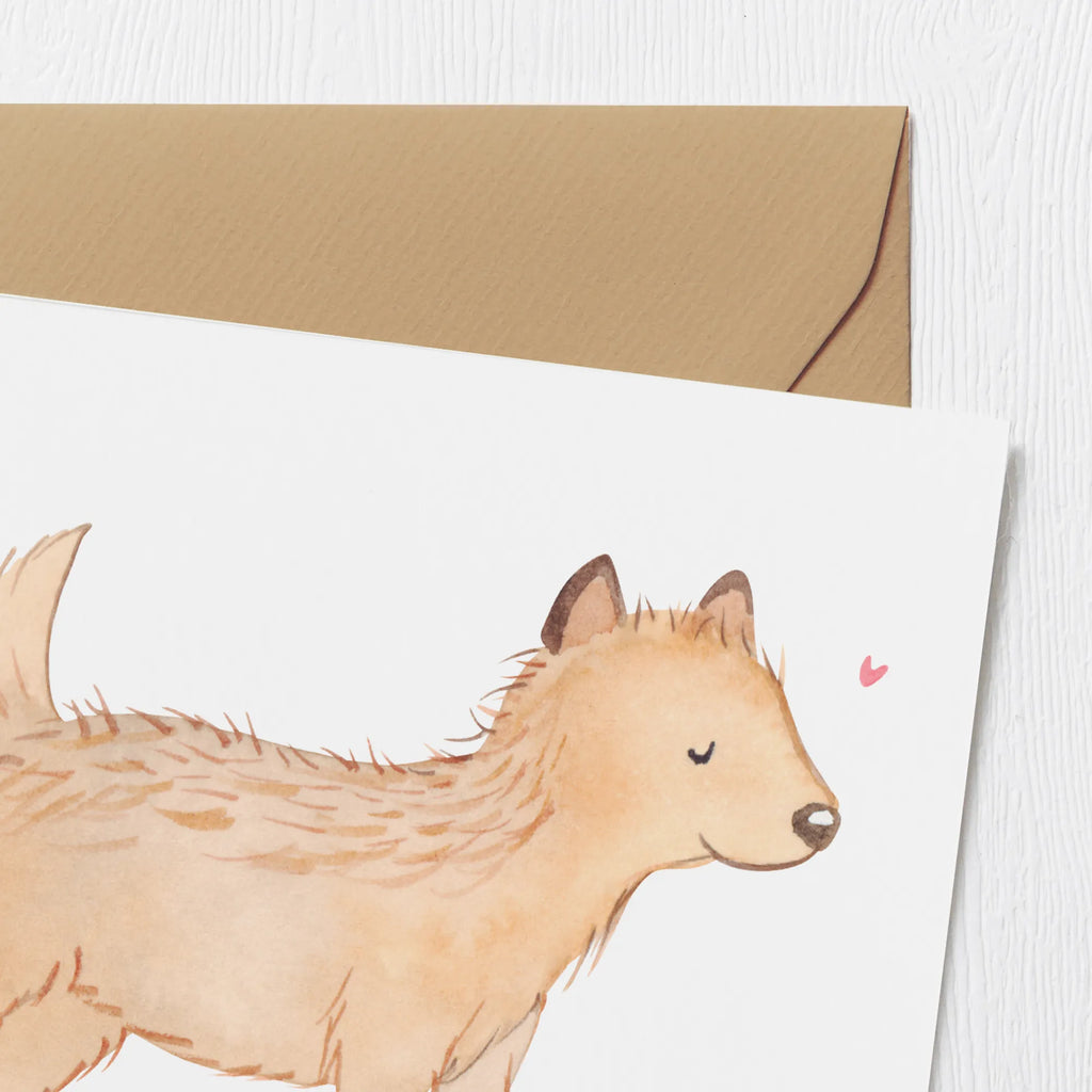 Deluxe Card Cairn Terrier Moment Geburtstagskarte, Hochzeitskarte, Karte, Klappkarte, Hochwertige Grußkarte, Einladungskarte, Grußkarte, Hochwertige Klappkarte, Glückwunschkarte, Hund, Hunderasse, Rassehund, Hundebesitzer, Geschenk, Tierfreund, Schenken, Welpe, Cairn Terrier