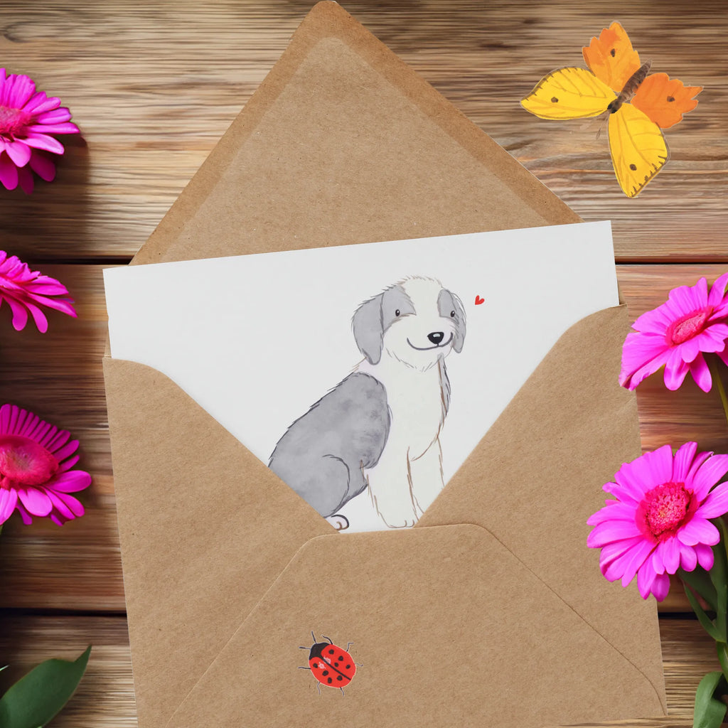 Personalized Deluxe Card Bearded Collie Lifesaver Grußkarte selber drucken, Grußkarte mit persönlichen Nachrichten, Grußkarte als Geldgeschenk, Grußkarte selbst gestalten, Personalisierte Glückwunschkarte, Personalisierte Einladungskarte, Personalisierte Hochzeitskarte, Personalisierte Geburtstagskarte, Personalisierte Karte, Personalisiertere Klappkarte, Grußkarten personalisiert, Personalisierte Grußkarte, Grußkarte mit Namen, Hund, Hunderasse, Rassehund, Hundebesitzer, Geschenk, Tierfreund, Schenken, Welpe, britischer Hütehund, Bearded Collie