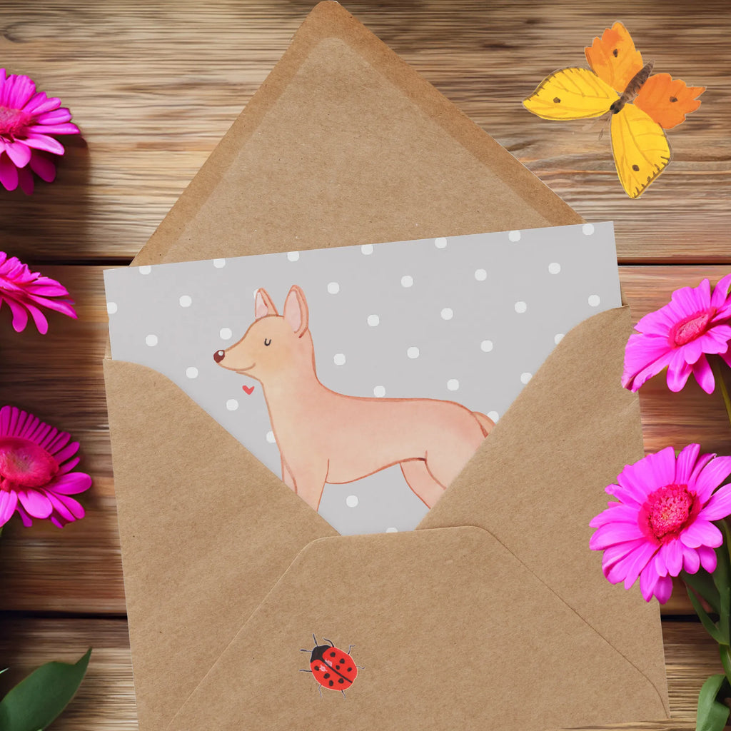 Personalized Deluxe Card Pharaoh Hound Lifesaver Personalisierte Hochzeitskarte, Grußkarte mit persönlichen Nachrichten, Personalisiertere Klappkarte, Grußkarte selbst gestalten, Personalisierte Grußkarte, Personalisierte Einladungskarte, Grußkarten personalisiert, Personalisierte Glückwunschkarte, Grußkarte als Geldgeschenk, Personalisierte Karte, Personalisierte Geburtstagskarte, Grußkarte selber drucken, Grußkarte mit Namen, Hund, Hunderasse, Rassehund, Hundebesitzer, Geschenk, Tierfreund, Schenken, Welpe, Pharaonenhund, Kelb tal-Fenek, Pharaoh Hound