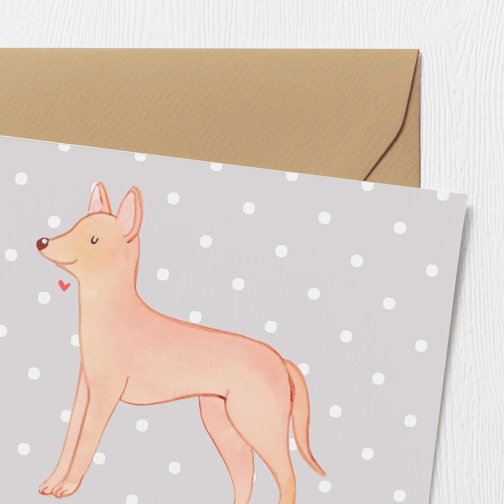 Personalized Deluxe Card Pharaoh Hound Lifesaver Personalisierte Hochzeitskarte, Grußkarte mit persönlichen Nachrichten, Personalisiertere Klappkarte, Grußkarte selbst gestalten, Personalisierte Grußkarte, Personalisierte Einladungskarte, Grußkarten personalisiert, Personalisierte Glückwunschkarte, Grußkarte als Geldgeschenk, Personalisierte Karte, Personalisierte Geburtstagskarte, Grußkarte selber drucken, Grußkarte mit Namen, Hund, Hunderasse, Rassehund, Hundebesitzer, Geschenk, Tierfreund, Schenken, Welpe, Pharaonenhund, Kelb tal-Fenek, Pharaoh Hound