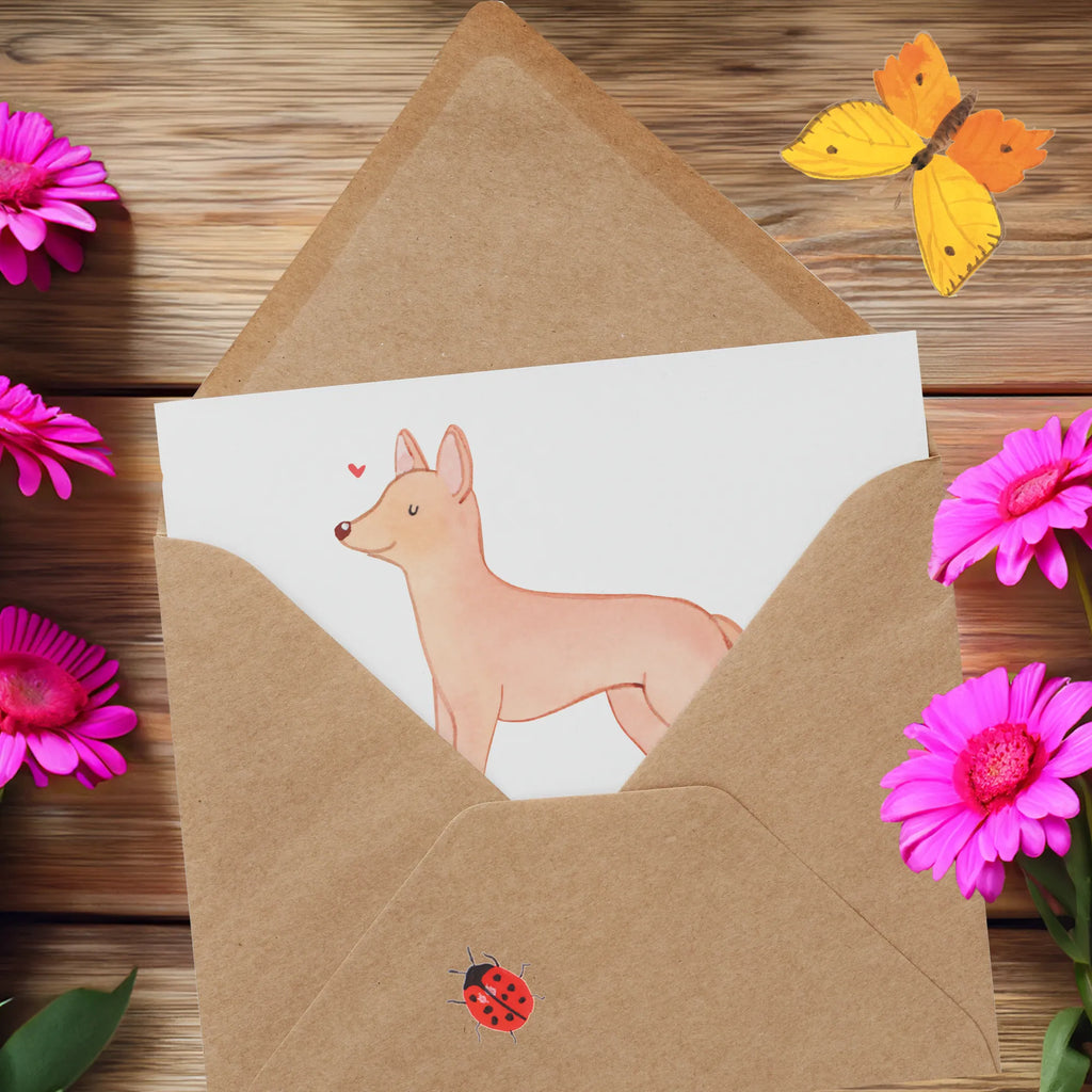 Personalized Deluxe Card Pharaoh Hound Lifesaver Personalisierte Hochzeitskarte, Grußkarte mit persönlichen Nachrichten, Personalisiertere Klappkarte, Grußkarte selbst gestalten, Personalisierte Grußkarte, Personalisierte Einladungskarte, Grußkarten personalisiert, Personalisierte Glückwunschkarte, Grußkarte als Geldgeschenk, Personalisierte Karte, Personalisierte Geburtstagskarte, Grußkarte selber drucken, Grußkarte mit Namen, Hund, Hunderasse, Rassehund, Hundebesitzer, Geschenk, Tierfreund, Schenken, Welpe, Pharaonenhund, Kelb tal-Fenek, Pharaoh Hound