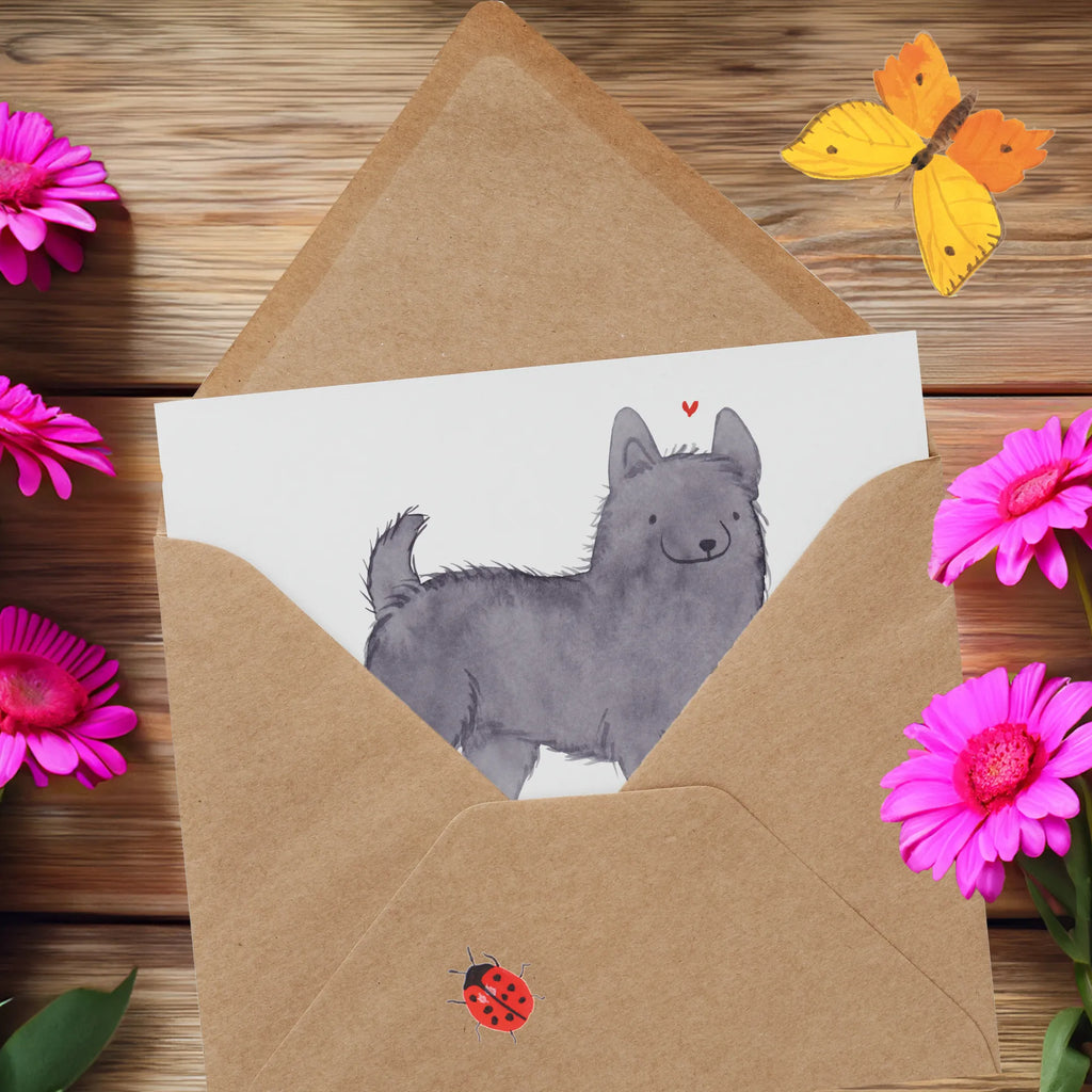 Personalisierte Deluxe Karte Schipperke Lebensretter Grußkarten personalisiert, Grußkarte als Geldgeschenk, Personalisierte Geburtstagskarte, Grußkarte selbst gestalten, Personalisierte Karte, Grußkarte mit Namen, Personalisierte Einladungskarte, Personalisiertere Klappkarte, Personalisierte Hochzeitskarte, Personalisierte Grußkarte, Grußkarte mit persönlichen Nachrichten, Personalisierte Glückwunschkarte, Grußkarte selber drucken, Hund, Hunderasse, Rassehund, Hundebesitzer, Geschenk, Tierfreund, Schenken, Welpe, Schipperke, belgische Hunderasse