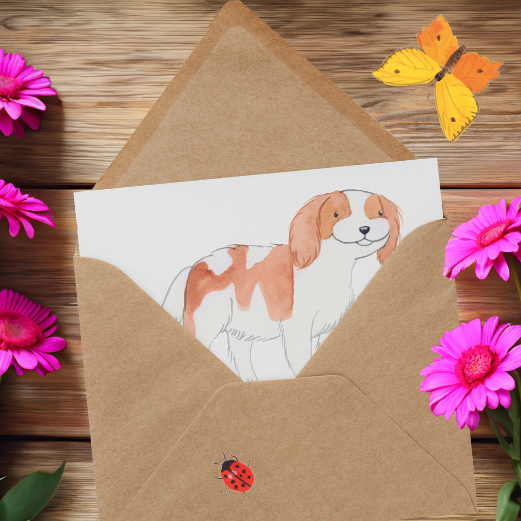 Personalized Deluxe Card Cavalier King Charles Spaniel lifesaver Personalisierte Glückwunschkarte, Personalisiertere Klappkarte, Personalisierte Karte, Personalisierte Einladungskarte, Grußkarte mit persönlichen Nachrichten, Grußkarte selbst gestalten, Grußkarten personalisiert, Personalisierte Grußkarte, Personalisierte Hochzeitskarte, Grußkarte selber drucken, Personalisierte Geburtstagskarte, Grußkarte mit Namen, Grußkarte als Geldgeschenk, Hund, Hunderasse, Rassehund, Hundebesitzer, Geschenk, Tierfreund, Schenken, Welpe, Cavalier King Charles Spaniel
