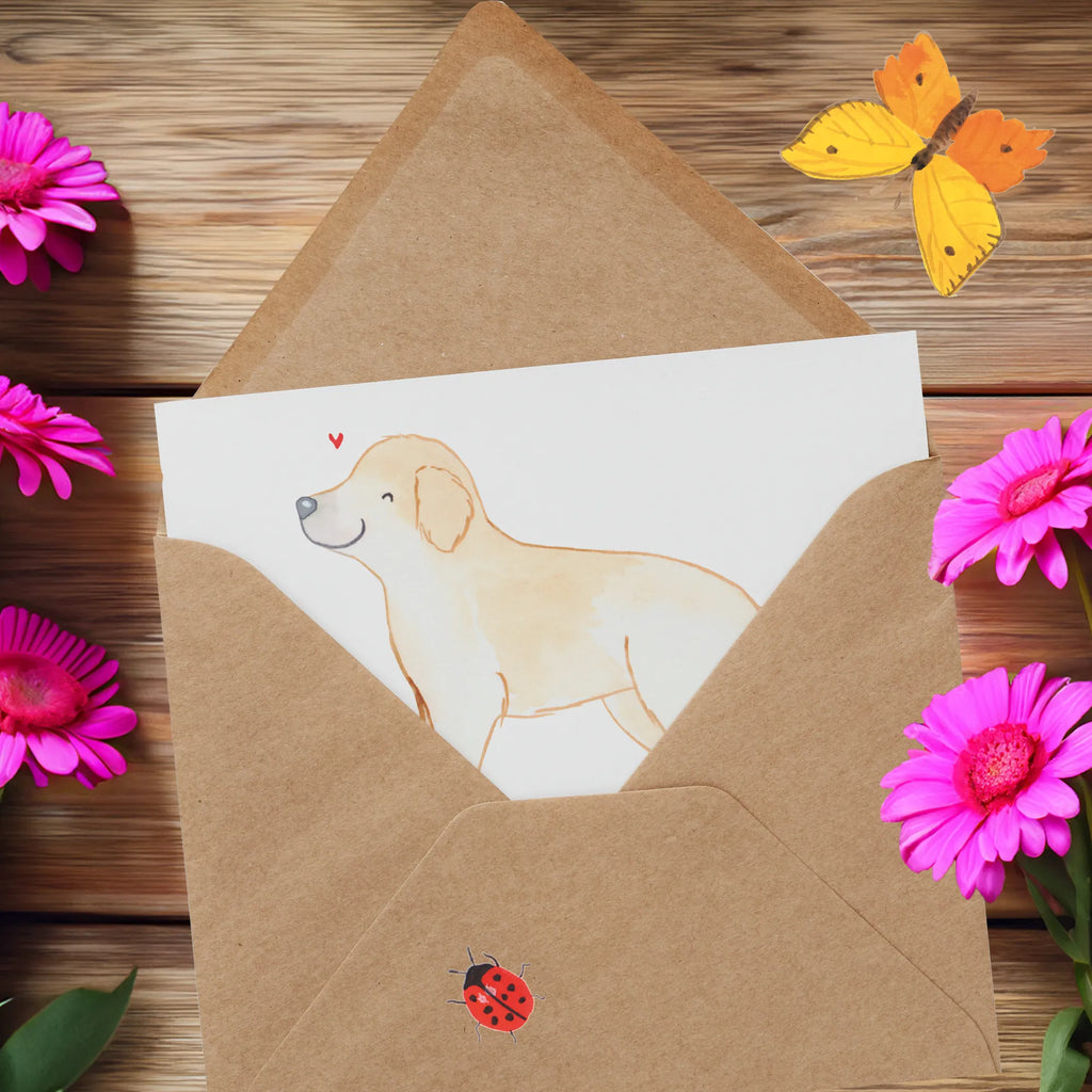 Personalized Deluxe Card Golden Retriever Lifesaver Personalisierte Einladungskarte, Personalisierte Hochzeitskarte, Personalisierte Geburtstagskarte, Personalisierte Glückwunschkarte, Grußkarte mit Namen, Grußkarte mit persönlichen Nachrichten, Personalisierte Karte, Grußkarte selbst gestalten, Grußkarte selber drucken, Personalisiertere Klappkarte, Personalisierte Grußkarte, Grußkarte als Geldgeschenk, Grußkarten personalisiert, Hund, Hunderasse, Rassehund, Hundebesitzer, Geschenk, Tierfreund, Schenken, Welpe, Golden Retriever, Goldie Hund