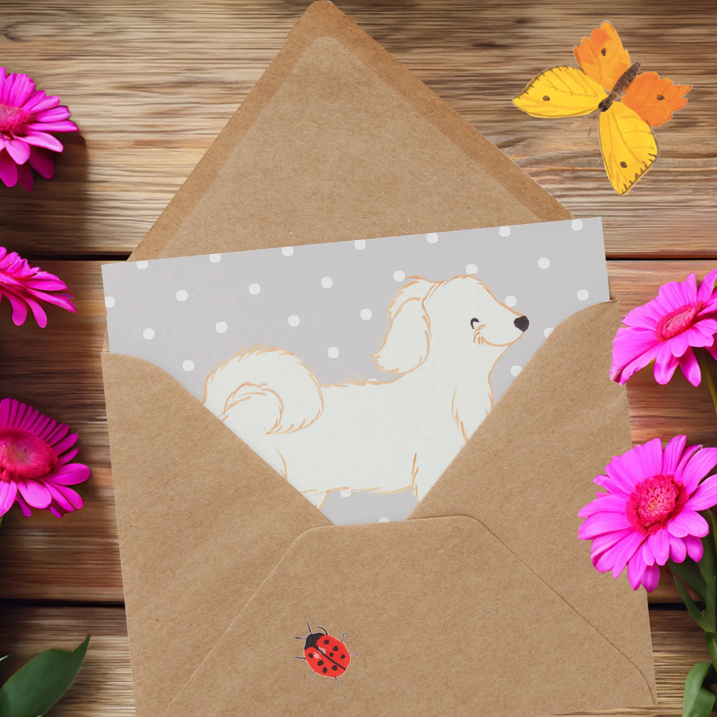 Personalized Deluxe Card Havanese Lifesaver Grußkarte selbst gestalten, Grußkarte selber drucken, Personalisierte Glückwunschkarte, Grußkarte als Geldgeschenk, Personalisierte Einladungskarte, Personalisiertere Klappkarte, Personalisierte Grußkarte, Grußkarte mit persönlichen Nachrichten, Grußkarte mit Namen, Personalisierte Karte, Personalisierte Hochzeitskarte, Personalisierte Geburtstagskarte, Grußkarten personalisiert, Hund, Hunderasse, Rassehund, Hundebesitzer, Geschenk, Tierfreund, Schenken, Welpe, Bichon Havanais, Havaneser, Havi, Bichón Habanero