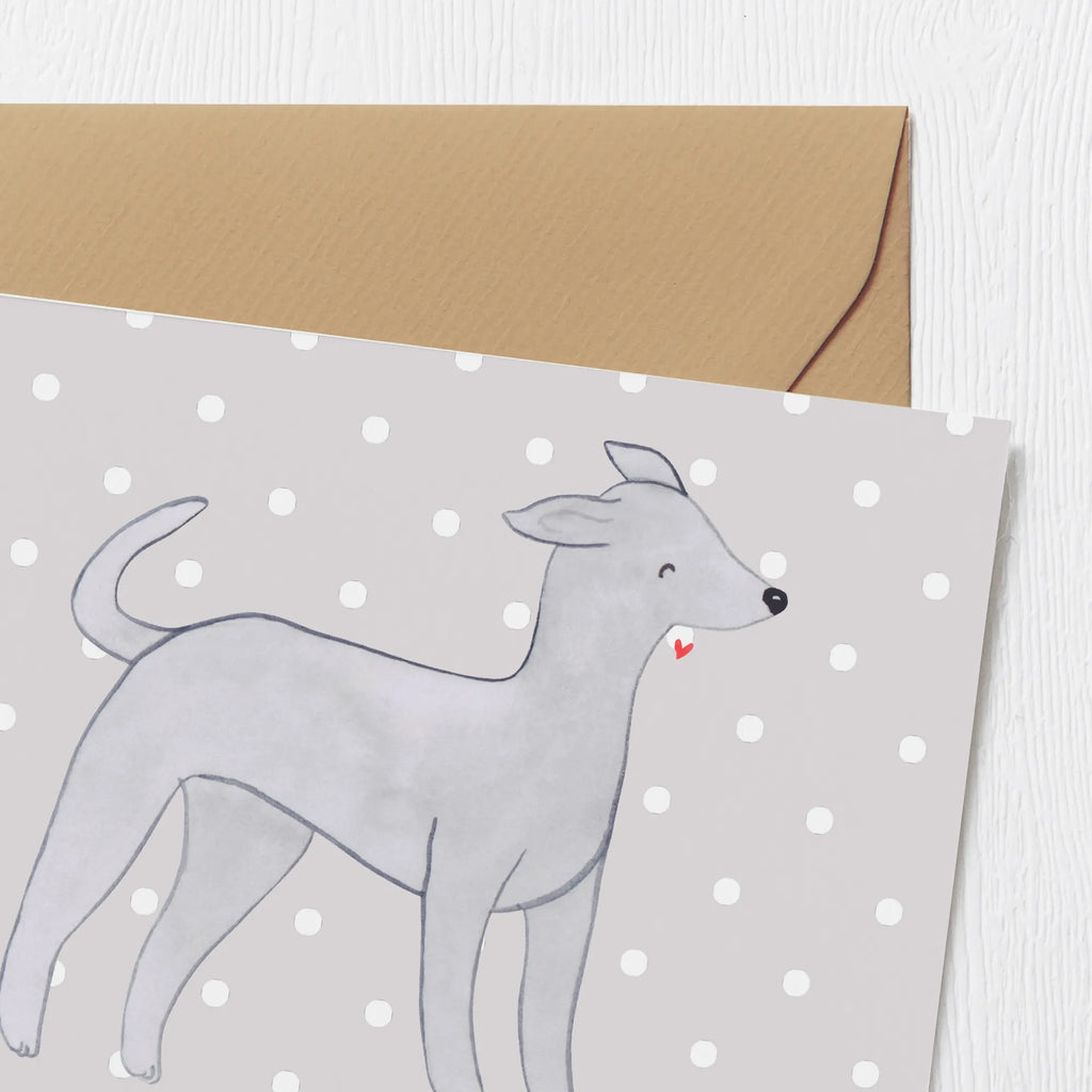 Personalized Deluxe Card Italian Greyhound Lifesaver Personalisierte Einladungskarte, Grußkarten personalisiert, Personalisierte Hochzeitskarte, Grußkarte als Geldgeschenk, Grußkarte selber drucken, Personalisiertere Klappkarte, Grußkarte mit Namen, Personalisierte Glückwunschkarte, Personalisierte Geburtstagskarte, Grußkarte mit persönlichen Nachrichten, Grußkarte selbst gestalten, Personalisierte Grußkarte, Personalisierte Karte, Hund, Hunderasse, Rassehund, Hundebesitzer, Geschenk, Tierfreund, Schenken, Welpe, Windhund, Italienisches Windspiel, Italian Greyhound