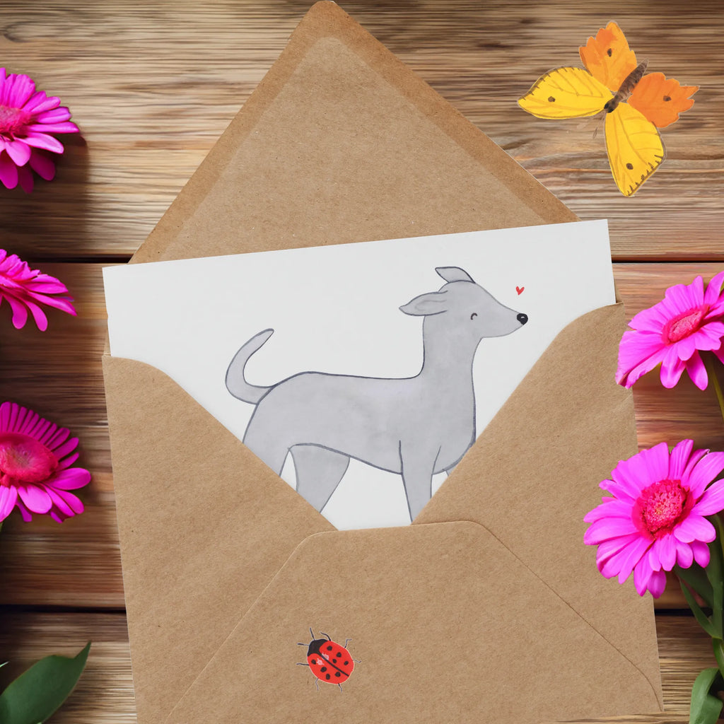 Personalized Deluxe Card Italian Greyhound Lifesaver Personalisierte Einladungskarte, Grußkarten personalisiert, Personalisierte Hochzeitskarte, Grußkarte als Geldgeschenk, Grußkarte selber drucken, Personalisiertere Klappkarte, Grußkarte mit Namen, Personalisierte Glückwunschkarte, Personalisierte Geburtstagskarte, Grußkarte mit persönlichen Nachrichten, Grußkarte selbst gestalten, Personalisierte Grußkarte, Personalisierte Karte, Hund, Hunderasse, Rassehund, Hundebesitzer, Geschenk, Tierfreund, Schenken, Welpe, Windhund, Italienisches Windspiel, Italian Greyhound