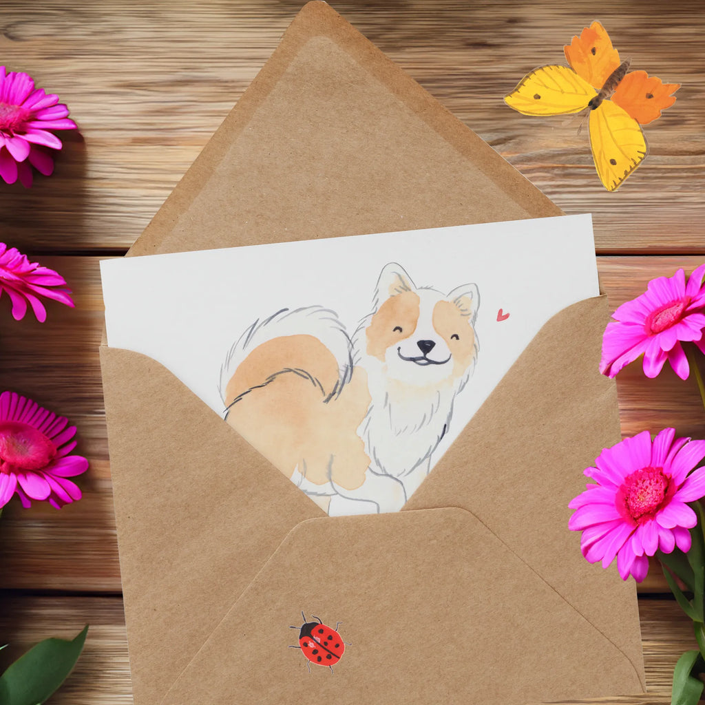 Personalized Deluxe Card Icelandic Sheepdog Lifesaver Grußkarte mit persönlichen Nachrichten, Grußkarte als Geldgeschenk, Personalisierte Geburtstagskarte, Grußkarten personalisiert, Personalisierte Karte, Personalisiertere Klappkarte, Personalisierte Hochzeitskarte, Grußkarte selber drucken, Personalisierte Glückwunschkarte, Grußkarte selbst gestalten, Grußkarte mit Namen, Personalisierte Einladungskarte, Personalisierte Grußkarte, Hund, Hunderasse, Rassehund, Hundebesitzer, Geschenk, Tierfreund, Schenken, Welpe, isländischer Schäferhund, Islandhund