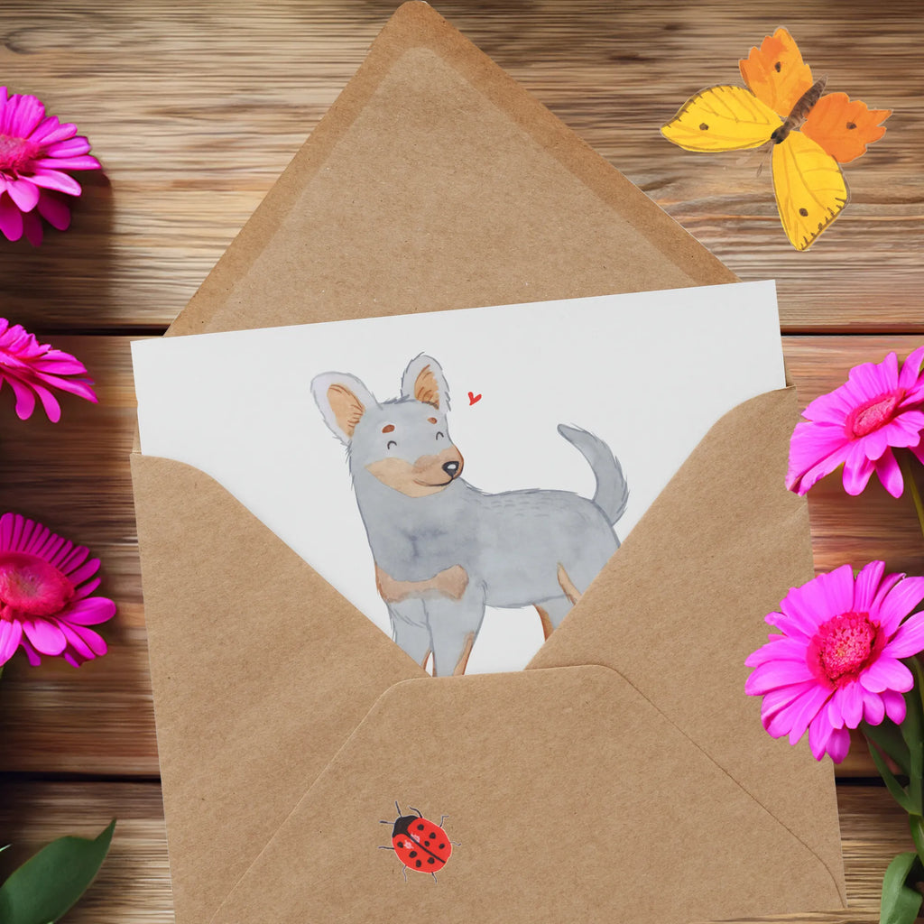 Personalisierte Deluxe Karte Prager Rattler Lebensretter Grußkarte als Geldgeschenk, Personalisierte Grußkarte, Personalisierte Glückwunschkarte, Grußkarte selbst gestalten, Grußkarte mit persönlichen Nachrichten, Personalisiertere Klappkarte, Grußkarte selber drucken, Grußkarten personalisiert, Personalisierte Hochzeitskarte, Grußkarte mit Namen, Personalisierte Einladungskarte, Personalisierte Karte, Personalisierte Geburtstagskarte, Hund, Hunderasse, Rassehund, Hundebesitzer, Geschenk, Tierfreund, Schenken, Welpe, Prager Rattler, Pincher