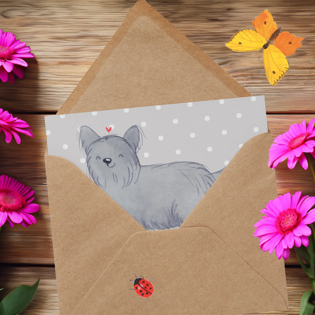 Personalized Deluxe Card Skye Terrier Lifesaver Personalisierte Karte, Personalisierte Geburtstagskarte, Grußkarte mit Namen, Personalisierte Hochzeitskarte, Grußkarte als Geldgeschenk, Grußkarten personalisiert, Grußkarte selber drucken, Grußkarte selbst gestalten, Grußkarte mit persönlichen Nachrichten, Personalisierte Einladungskarte, Personalisierte Glückwunschkarte, Personalisiertere Klappkarte, Personalisierte Grußkarte, Hund, Hunderasse, Rassehund, Hundebesitzer, Geschenk, Tierfreund, Schenken, Welpe, Terrier, Skye Terrier