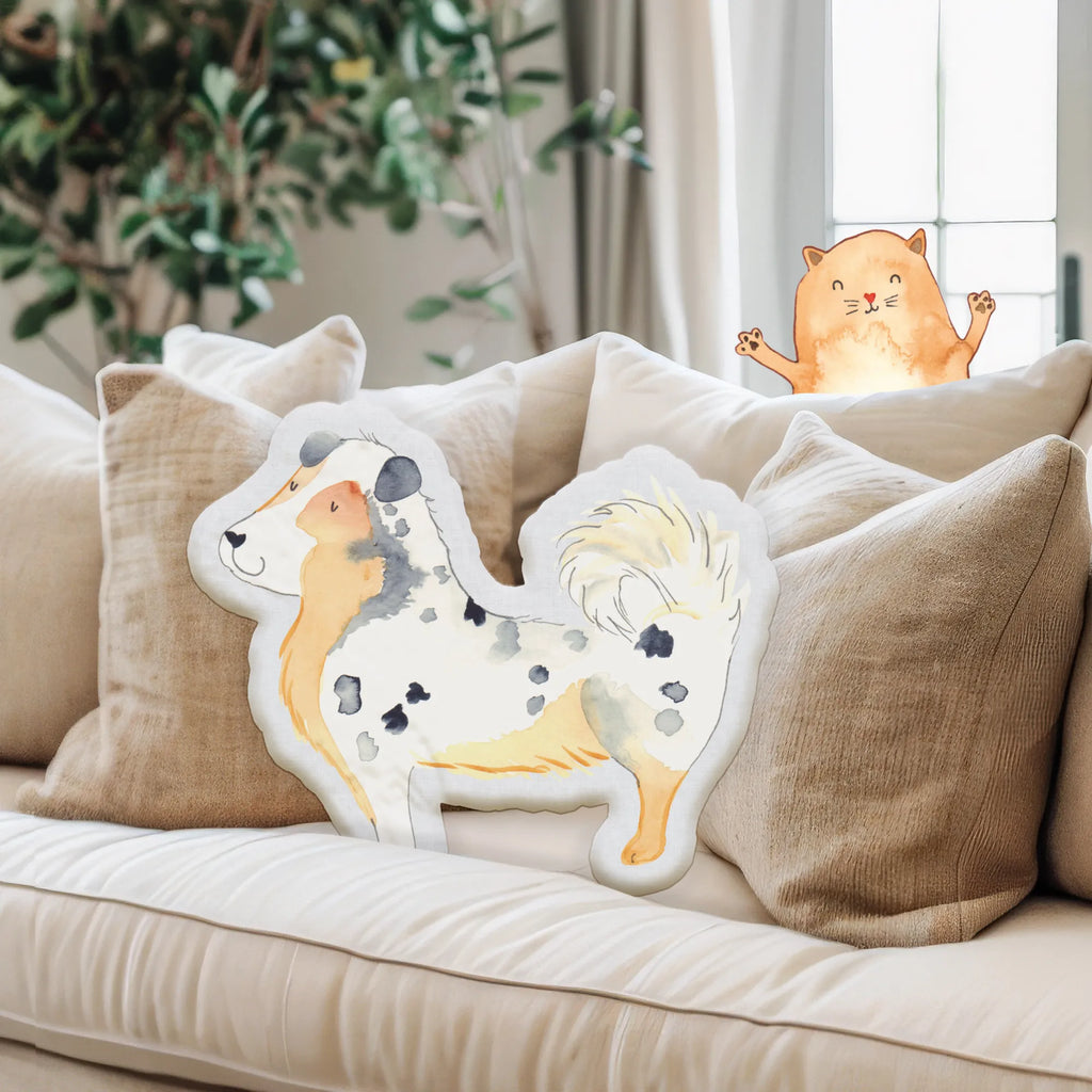 Poduszka dla zwierząt Pies Owczarek australijski Pies, motyw psa, zwierzę domowe, rasa psa, miłośnik zwierząt, właściciel psa, powiedzenia