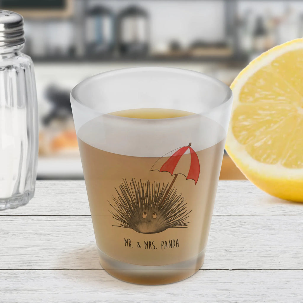 Schnapsglas Seeigel Kurze Gläser, Likörglas, Schnapsglas, Lustige Schnapsgläser, Stamperl, Likör Glas, Ausgefallene Schnapsgläser, Shotgläser, Likör Gläser, Schnapsgläser, Kurzen Glas, Shotglas, Shot Glas, Likörgläser, Meerestiere, Meer, Urlaub, Selbstliebe, Selbstakzeptanz, Leben, Hier und Jetzt, Lebe, Seeigel, Achtsamkeit