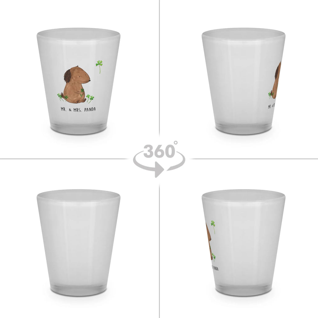 Shot glass Dog shamrock Stamperl, Likör Glas, Shot Glas, Likörglas, Kurze Gläser, Schnapsglas, Schnapsgläser, Shotglas, Likörgläser, Lustige Schnapsgläser, Shotgläser, Ausgefallene Schnapsgläser, Likör Gläser, Kurzen Glas, Hund, Hundemotiv, Haustier, Hunderasse, Tierliebhaber, Hundebesitzer, Sprüche, Neuanfang, Motivation, Glück, Kleeblatt, Glücksbringer, Tagträume, Selbstliebe, Geschenk, Achtsamkeit