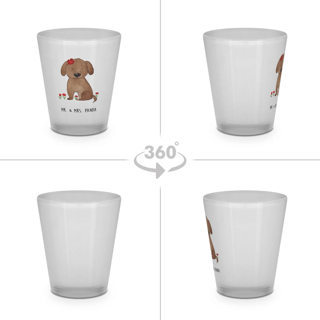 Schnapsglas Hund Dame Shotgläser, Stamperl, Likörglas, Likör Glas, Lustige Schnapsgläser, Shot Glas, Kurze Gläser, Likörgläser, Schnapsglas, Ausgefallene Schnapsgläser, Likör Gläser, Schnapsgläser, Shotglas, Kurzen Glas, Hund, Hundemotiv, Haustier, Hunderasse, Tierliebhaber, Hundebesitzer, Sprüche, Hundeglück, Frauchen, Liebe, Hunde, Hundeliebe