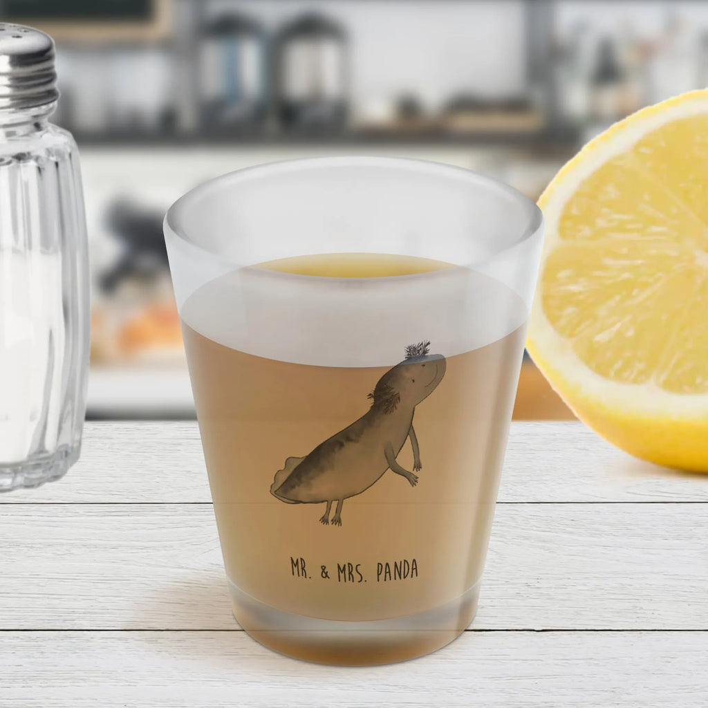 Shot glass axolotl To swim Axolotl, Axelotl, marine animals, Mexican walking fish, salamander, axolot, solutions, tail, problem, problems, amphibians, motivation