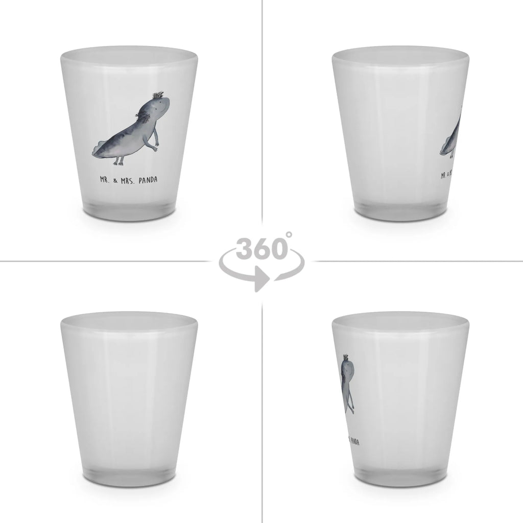 Shot glass axolotl To swim Axolotl, Axelotl, marine animals, Mexican walking fish, salamander, axolot, solutions, tail, problem, problems, amphibians, motivation