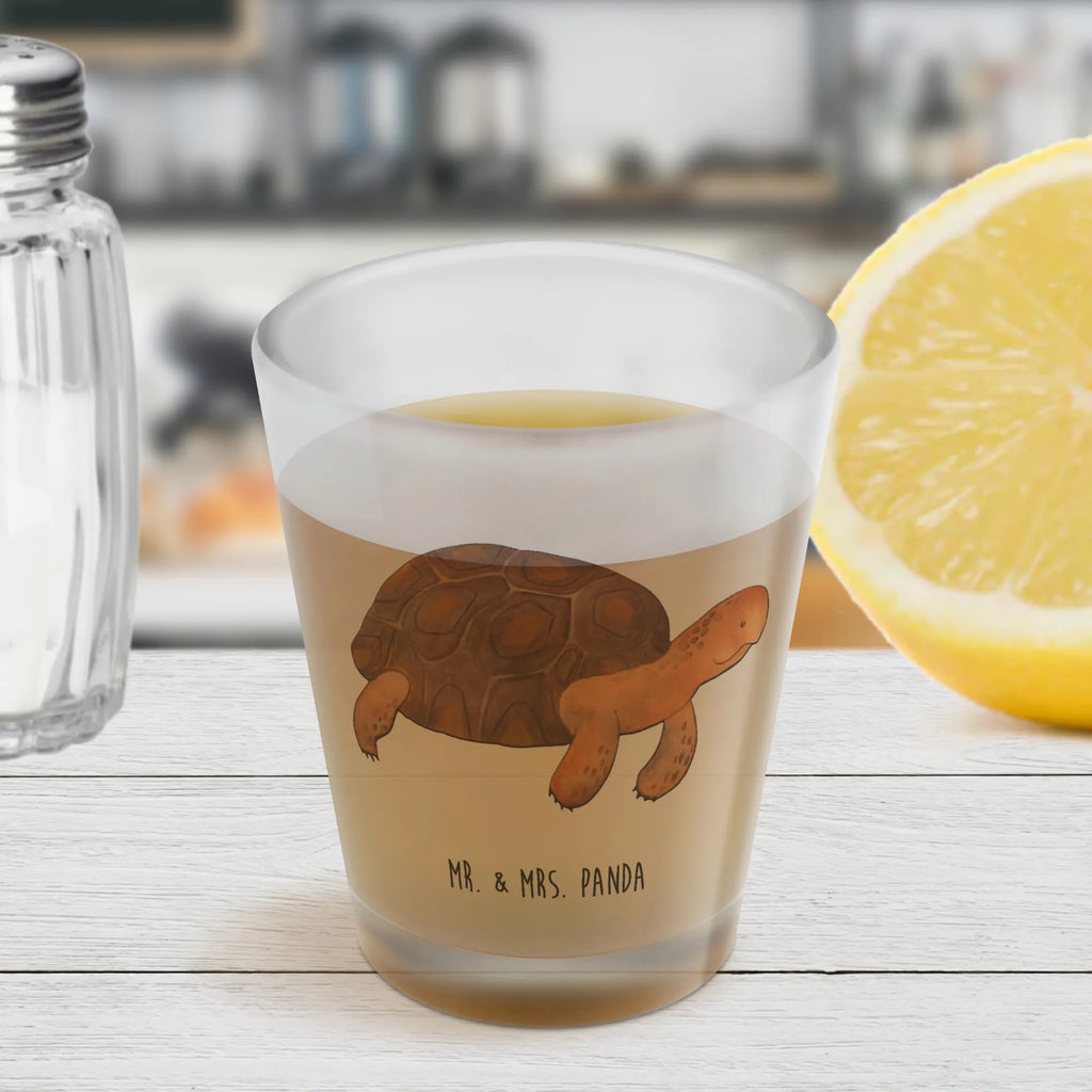 Schnapsglas Schildkröte Marschieren Likörglas, Likör Glas, Ausgefallene Schnapsgläser, Shotglas, Schnapsgläser, Lustige Schnapsgläser, Likörgläser, Stamperl, Kurze Gläser, Kurzen Glas, Shot Glas, Likör Gläser, Shotgläser, Schnapsglas, Meerestiere, Meer, Urlaub, Schildkröten, Motivation, get lost, Reiselust, Neustart, Lieblingsmensch, Inspiration, Abenteuer, Schildkröte