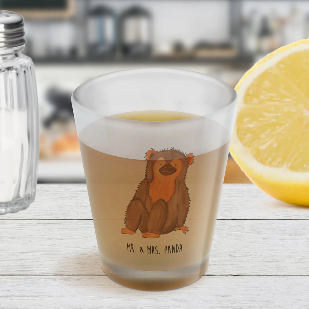 Schnapsglas Affe Lustige Schnapsgläser, Stamperl, Shotglas, Kurzen Glas, Schnapsgläser, Ausgefallene Schnapsgläser, Likör Gläser, Likör Glas, Schnapsglas, Likörgläser, Likörglas, Kurze Gläser, Shot Glas, Shotgläser, Afrika, Wildtiere, Affen, Selbstachtung, Motivation, Selfcare, Affe, Selbstbewusstsein, Selbstliebe, Liebe, Äffchen, Respekt