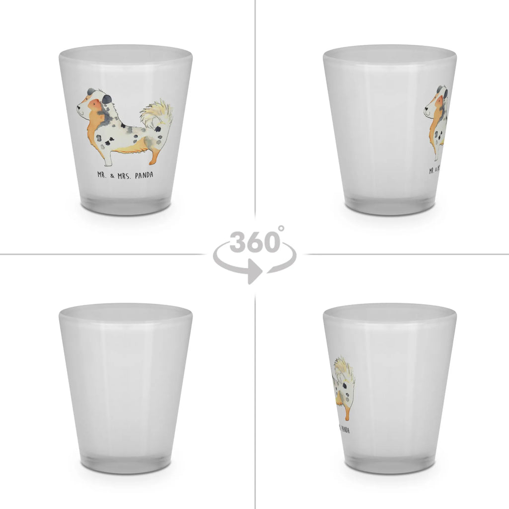 Schnapsglas Hund Australien Shepherd Kurze Gläser, Stamperl, Lustige Schnapsgläser, Schnapsgläser, Schnapsglas, Likörgläser, Likör Gläser, Kurzen Glas, Shotgläser, Ausgefallene Schnapsgläser, Likörglas, Shotglas, Shot Glas, Likör Glas, Hund, Hundemotiv, Haustier, Hunderasse, Tierliebhaber, Hundebesitzer, Sprüche, Hundeliebe, Spruch, Shepherd, Australien Shepherd, Familienhund