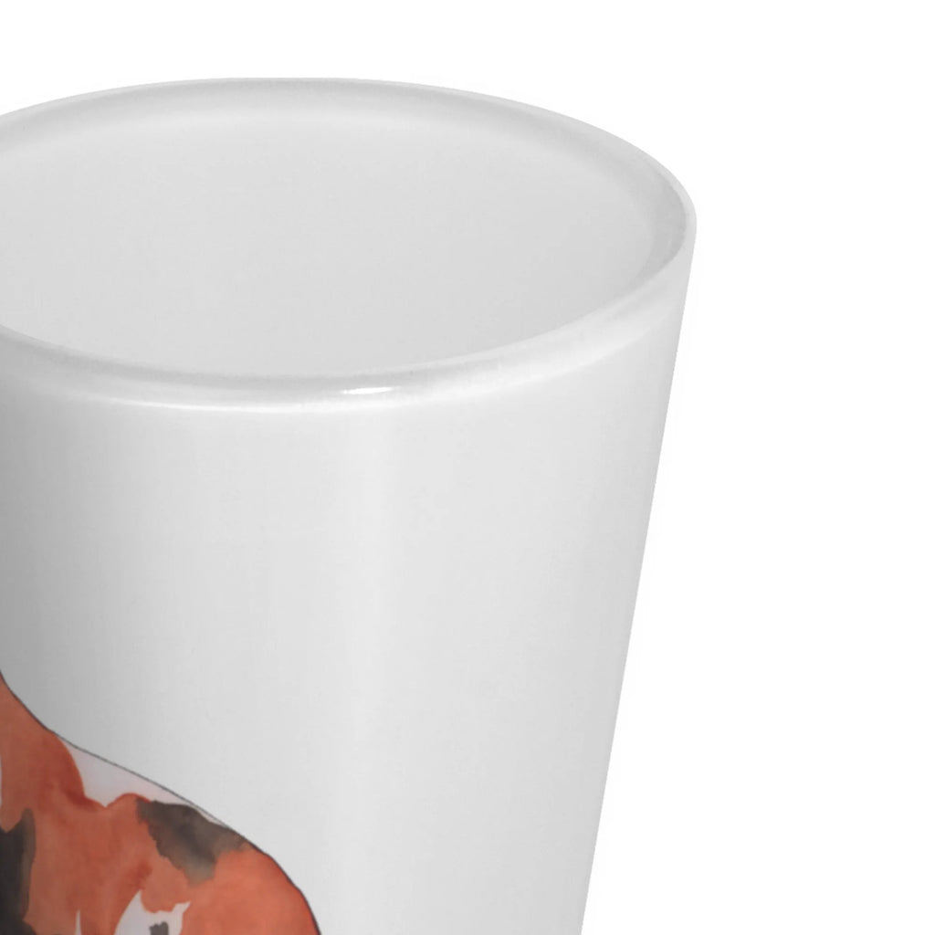 Schnapsglas Hund Basset Hound Ausgefallene Schnapsgläser, Likör Gläser, Schnapsglas, Stamperl, Schnapsgläser, Likörgläser, Lustige Schnapsgläser, Kurze Gläser, Shotglas, Likörglas, Likör Glas, Kurzen Glas, Shotgläser, Shot Glas, Hund, Hundemotiv, Haustier, Hunderasse, Tierliebhaber, Hundebesitzer, Sprüche, Hundeliebe, Basset Hound, kinderlos, Basset