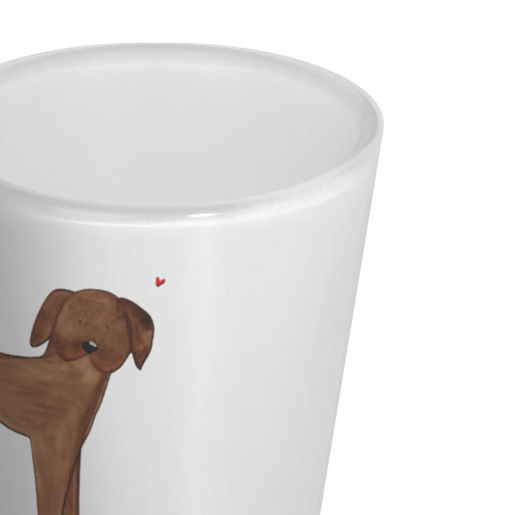 Schnapsglas Hund Dogge Stamperl, Likörglas, Lustige Schnapsgläser, Likörgläser, Likör Glas, Likör Gläser, Shotglas, Ausgefallene Schnapsgläser, Shot Glas, Kurze Gläser, Kurzen Glas, Shotgläser, Schnapsglas, Schnapsgläser, Hund, Hundemotiv, Haustier, Hunderasse, Tierliebhaber, Hundebesitzer, Sprüche, Dogge, Deutsche Dogge, Hunde, Great Dane