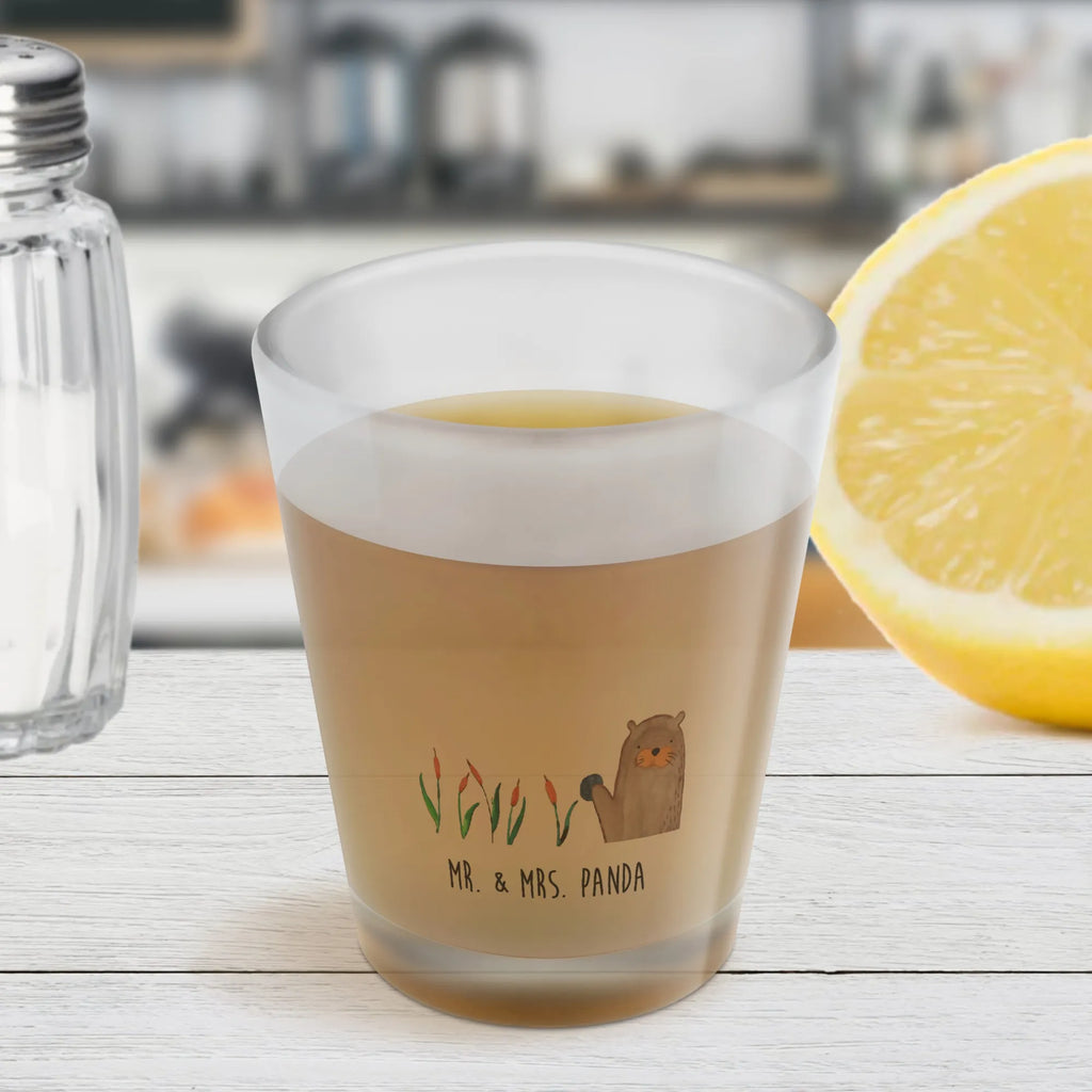 Schnapsglas Otter Stein Shotgläser, Likörgläser, Kurzen Glas, Schnapsglas, Stamperl, Likör Gläser, Lustige Schnapsgläser, Likör Glas, Ausgefallene Schnapsgläser, Schnapsgläser, Shot Glas, Shotglas, Kurze Gläser, Likörglas, Otter, Fischotter, Seeotter, Otter Seeotter See Otter