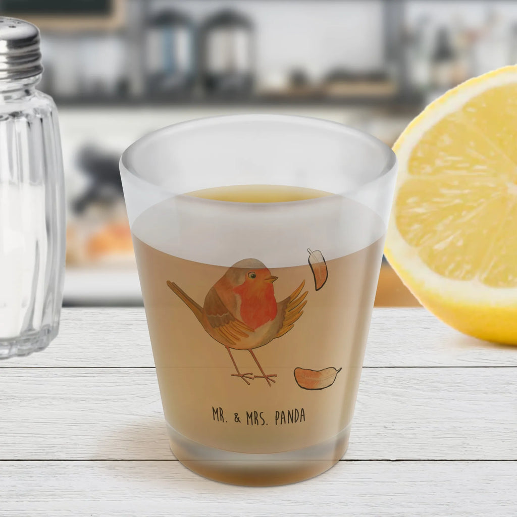 Schnapsglas Rotkehlchen Federn Stamperl, Shotglas, Likör Gläser, Schnapsglas, Kurze Gläser, Shot Glas, Likör Glas, Lustige Schnapsgläser, Shotgläser, Likörgläser, Likörglas, Kurzen Glas, Ausgefallene Schnapsgläser, Schnapsgläser, Tiermotive, Gute Laune, lustige Sprüche, Tiere, What if i fall, Vogel, Spruch Mut, Motivation Sprüche, Spruch Motivation, fliegen, Motivationsbilder, Rotkehlchen