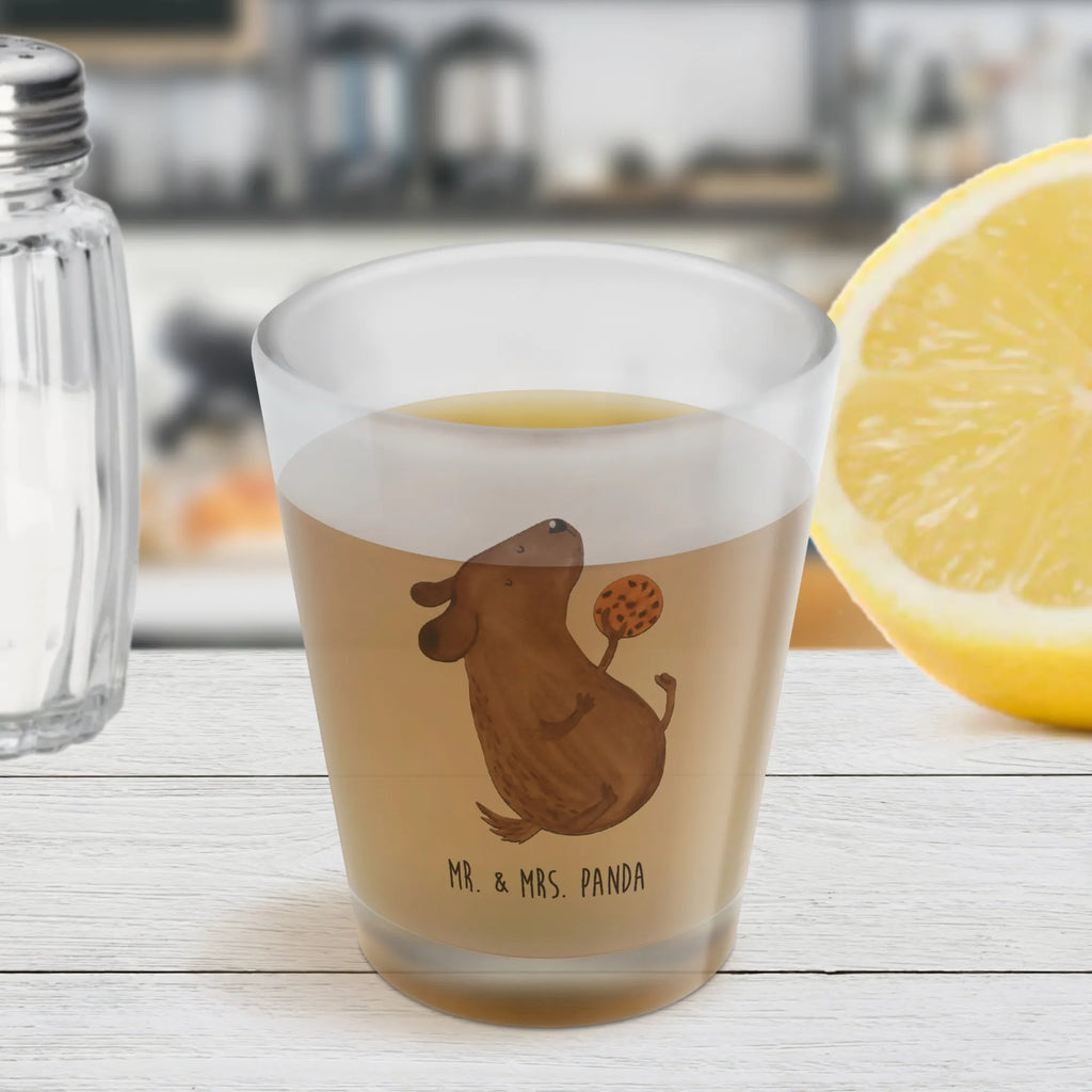 Shot glass Dog biscuit Shotglas, Schnapsgläser, Kurze Gläser, Likörgläser, Likör Gläser, Ausgefallene Schnapsgläser, Shot Glas, Kurzen Glas, Schnapsglas, Likörglas, Stamperl, Likör Glas, Shotgläser, Lustige Schnapsgläser, Hund, Hundemotiv, Haustier, Hunderasse, Tierliebhaber, Hundebesitzer, Sprüche, Hundeleckerli, Leckerli, Hundekekse, Hundesnacks