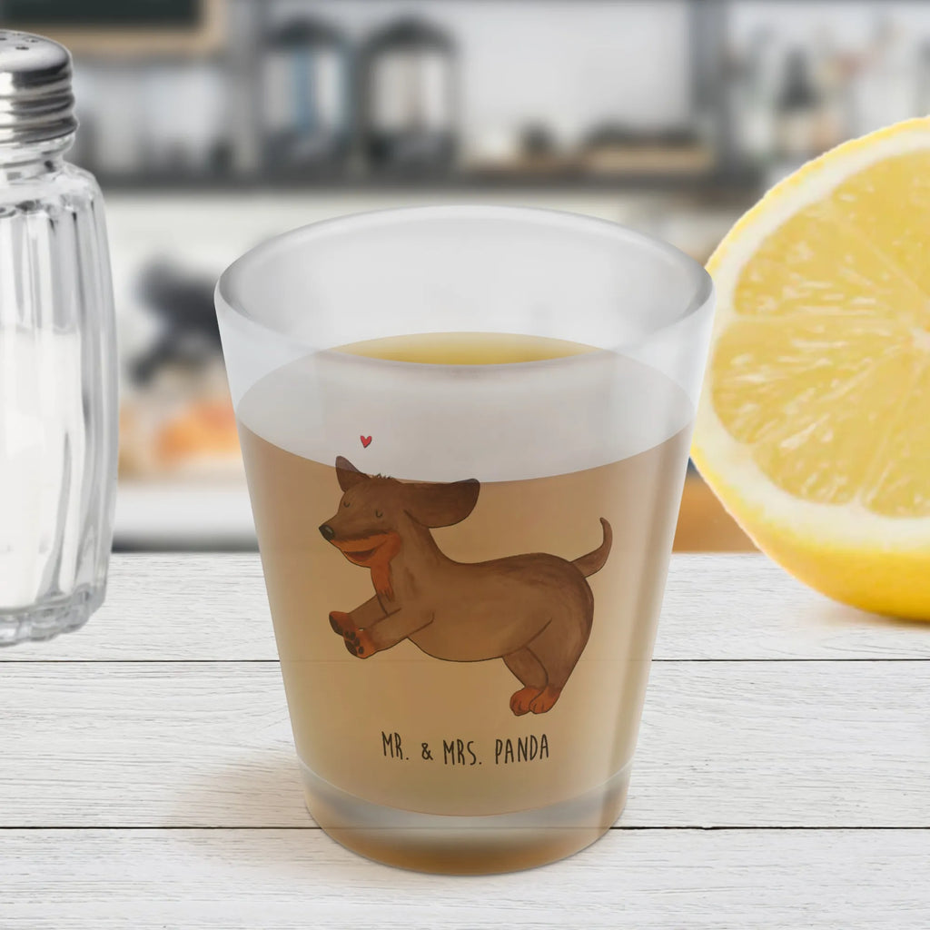 Shot glass Dog dachshund Schnapsgläser, Likörgläser, Shotglas, Lustige Schnapsgläser, Likör Gläser, Shot Glas, Ausgefallene Schnapsgläser, Kurzen Glas, Kurze Gläser, Likörglas, Schnapsglas, Shotgläser, Likör Glas, Stamperl, Hund, Hundemotiv, Haustier, Hunderasse, Tierliebhaber, Hundebesitzer, Sprüche, Dachshund, Hunde, happy dog, Dackel