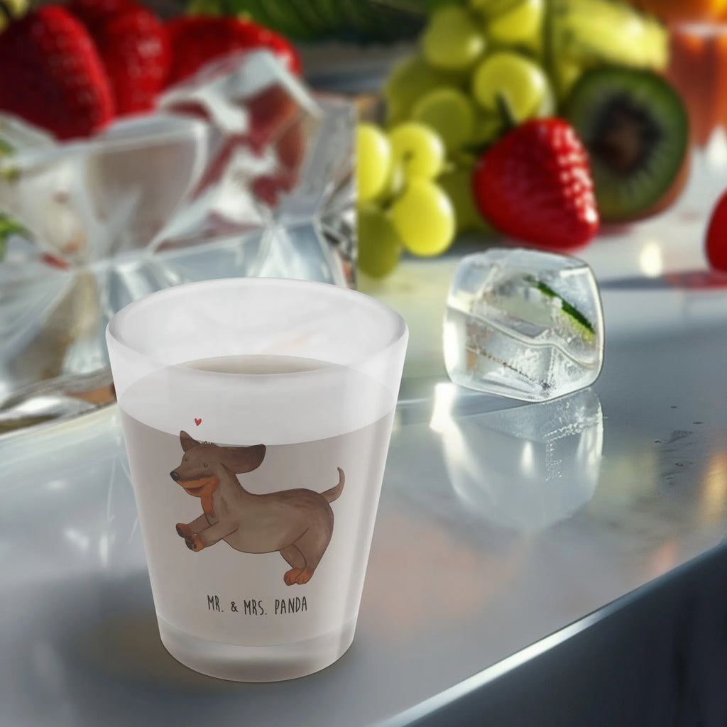 Shot glass Dog dachshund Schnapsgläser, Likörgläser, Shotglas, Lustige Schnapsgläser, Likör Gläser, Shot Glas, Ausgefallene Schnapsgläser, Kurzen Glas, Kurze Gläser, Likörglas, Schnapsglas, Shotgläser, Likör Glas, Stamperl, Hund, Hundemotiv, Haustier, Hunderasse, Tierliebhaber, Hundebesitzer, Sprüche, Dachshund, Hunde, happy dog, Dackel