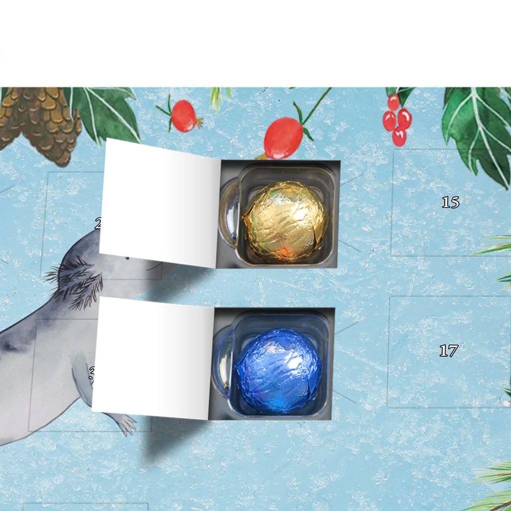 Chocolate advent calendar axolotl To swim Mexican walking fish, Axelotl, marine animals, salamander, amphibians, problems, solutions, tail