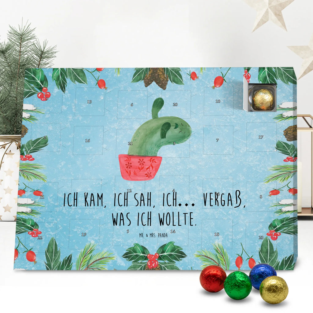 Chocolate advent calendar cactus mummy cactus, cactuses, plants, small green cactus, cactus plant, cactus love, cacti, office life, school, quota, annoyance