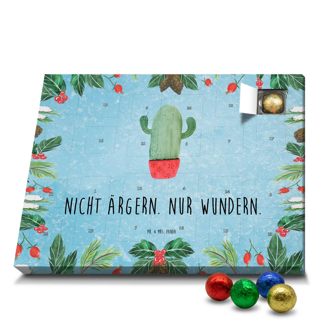 Chocolate advent calendar cactus Fury cactus, cactuses, plants, small green cactus, cactus plant, colleague, angry, annoy, office life, school