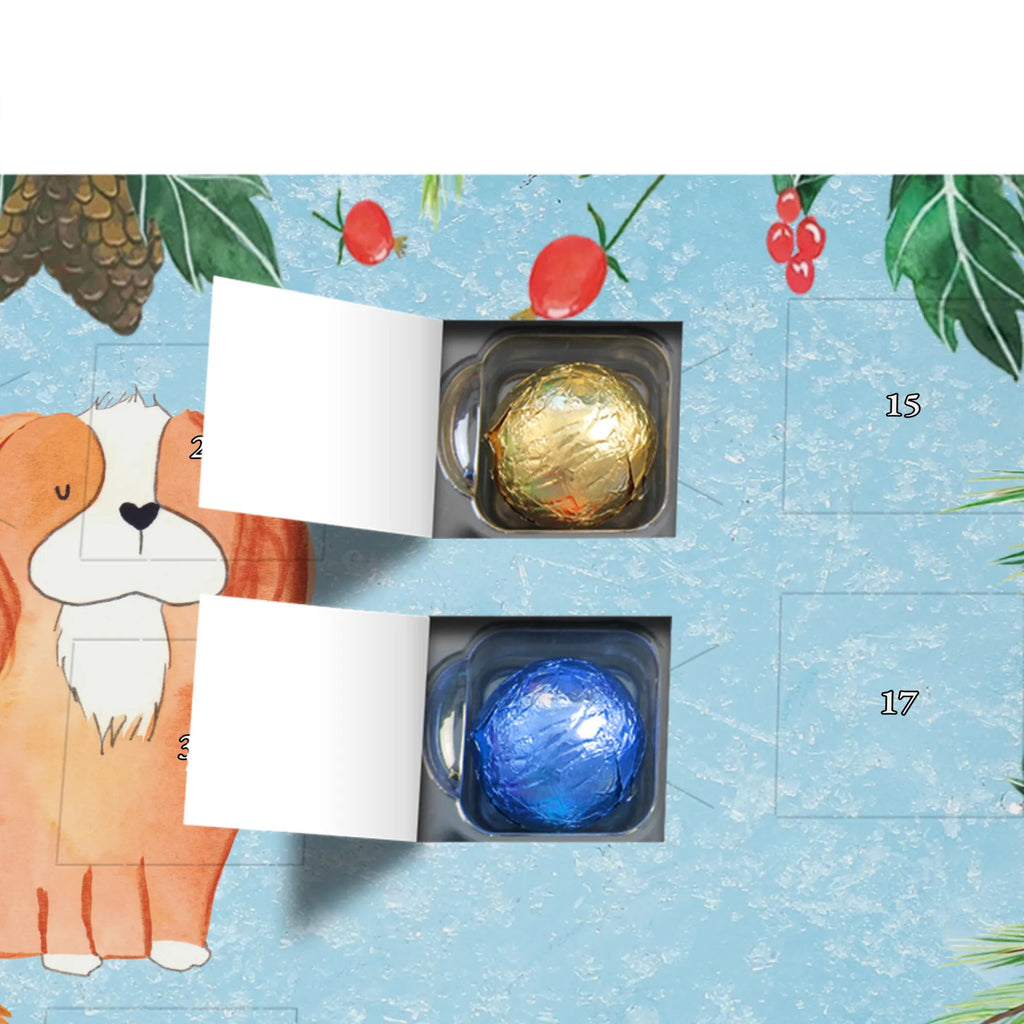 süßigkeiten adventskalender Hund Cavalier King Charles Spaniel Schokoladen-Adventskalender, kalender schokolade, süßigkeiten adventskalender, Weihnachtskalender, Schoko-Adventskalender, pralinen adventskalender, süßigkeiten kalender, Weihnachtskalender Schokolade, Schokoladen Adventskalender, adventskalender schoko, schoko kalender, Schokoladen-Weihnachtskalender, Weihnachts Kalender, schokoladenkalender, schokoladen kalender, adventskalender süßigkeiten, adventskalender pralinen, schokolade adventskalender, Adventskalender Schokolade, kalender weihnachten, Weihnachten Adventskalender, weihnachtskalender schoko, Adventskalender, schoko weihnachtskalender, schokokalender, Schoko Adventskalender, Tierliebhaber, Hundebesitzer, Hunderasse, Haustier, Hund, Sprüche, Hundemotiv, Spaniel, Spruch, Cavalier King Charles Spaniel, Cockerspaniel, Schönster Hund