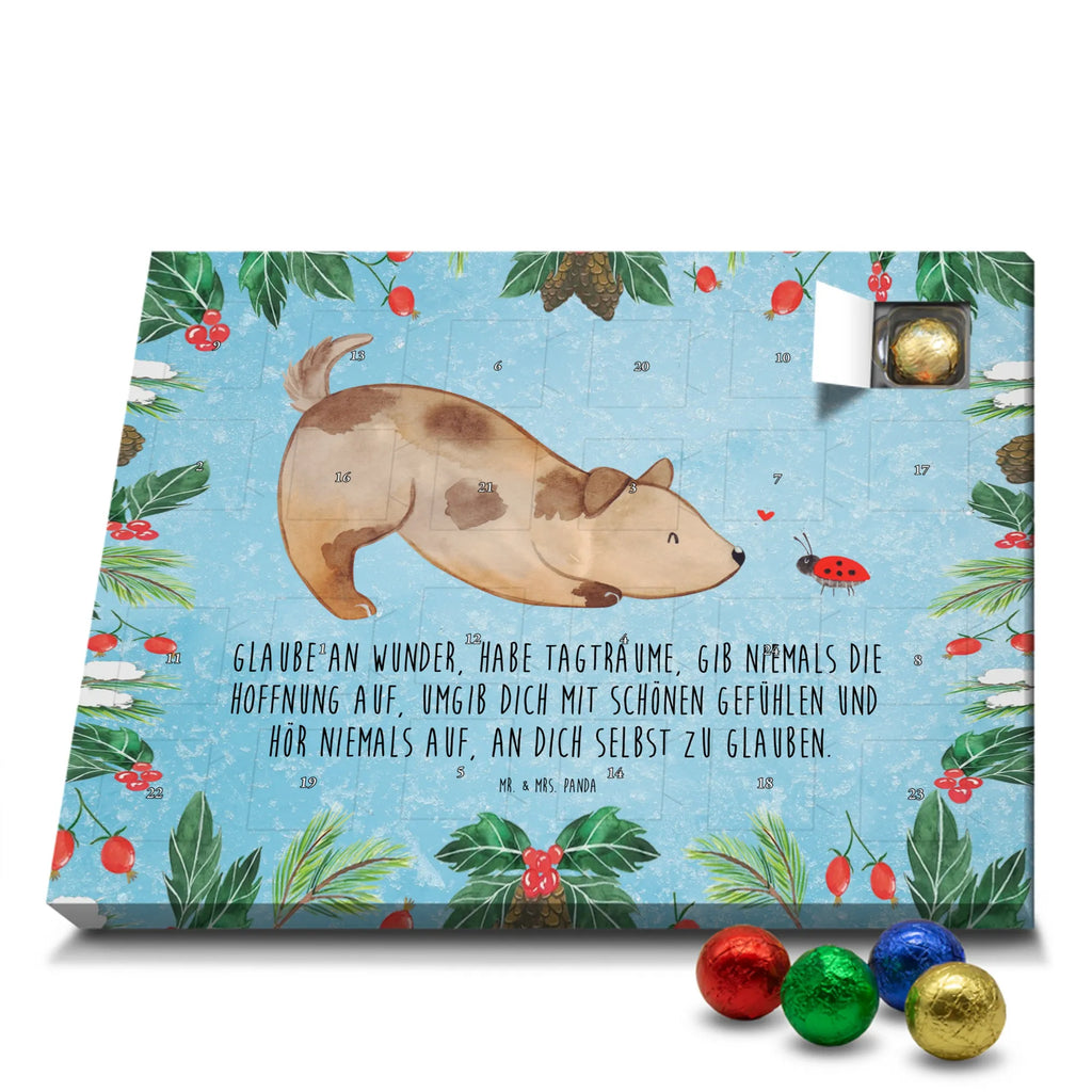 Chocolate advent calendar Dog ladybug mutt, dog sayings, love dogs, dog mama, funny gifts for dog owners, woof, what do you give a dog lover, dog breed, Christmas gifts for dogs, gifts for dogs, bag with dog print, love for dogs, hound, dog decorative items, Mongrel dog, Dog slogan, Ladybird, Sayings, Mongrel, Dogs