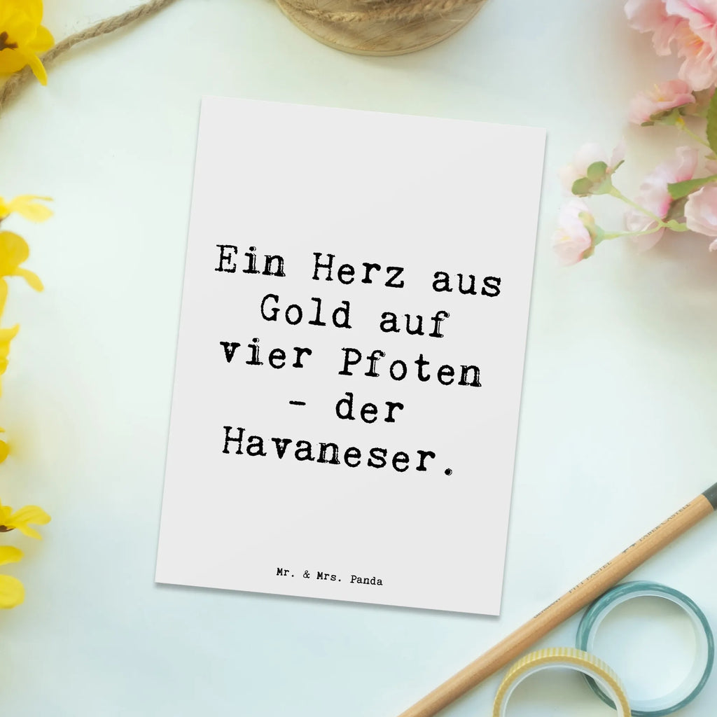 Postkarte Spruch Goldherz Havaneser Karte, Einladungskarten Geburtstag, Ansichtskarten, Geschenkkarte, Geburtstagskarte, Einladung, Ansichtskarte, Einladungskarte, Dankeskarte, Einladung Geburtstag, Grußkarte, Postkarte, Hund, Hunderasse, Rassehund, Hundebesitzer, Geschenk, Tierfreund, Schenken, Welpe